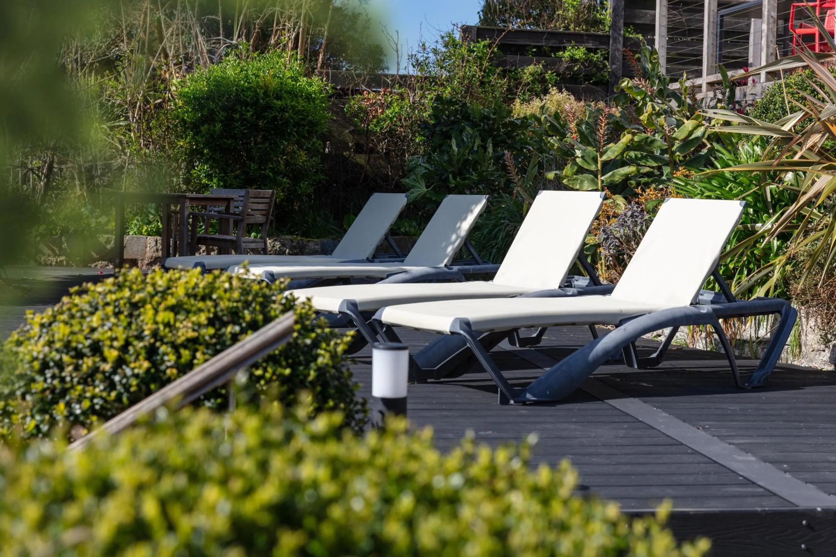 Garden in Chelsea House Holiday Apartments