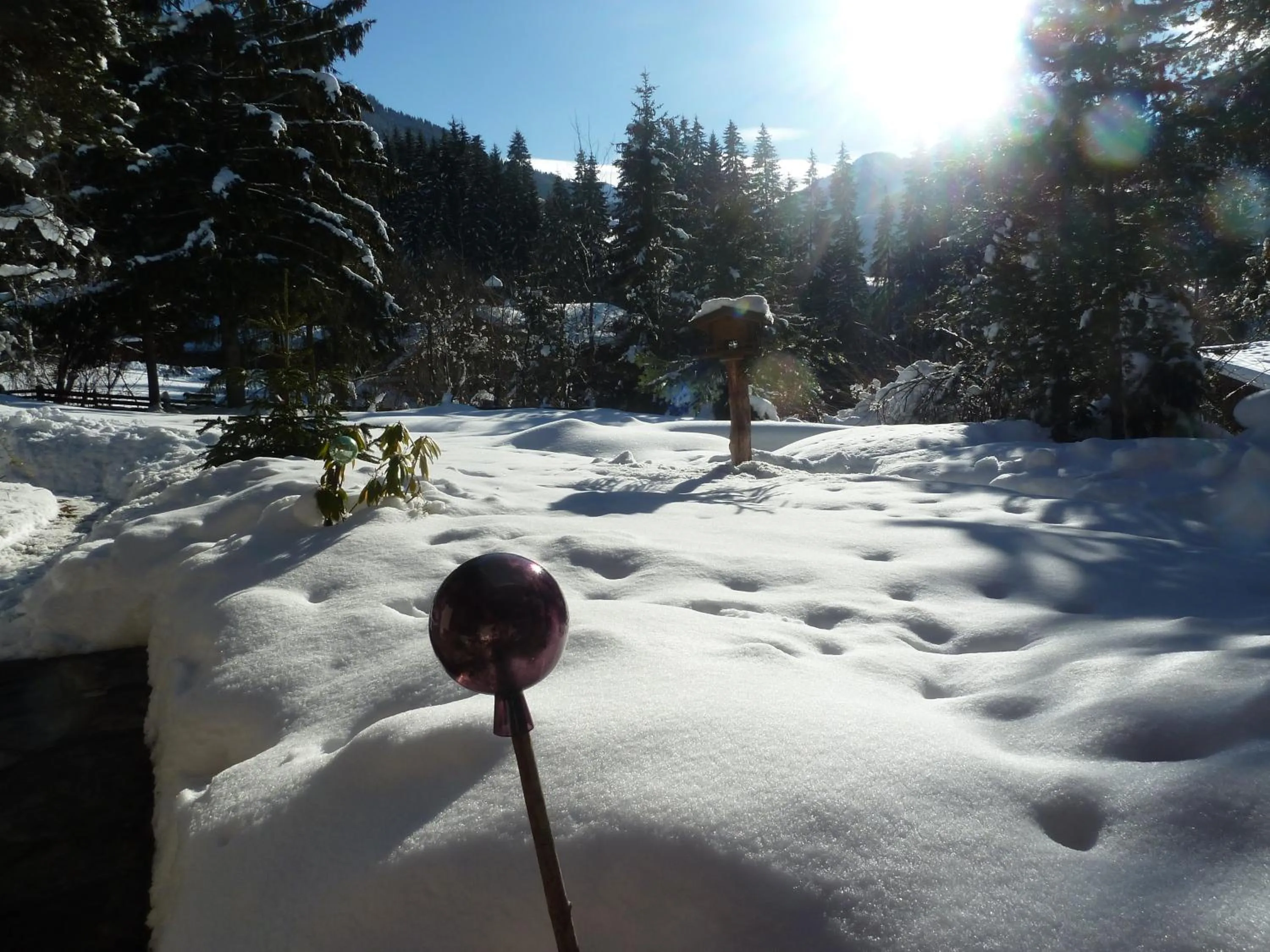 Natural landscape in Gästehaus Gratlspitz