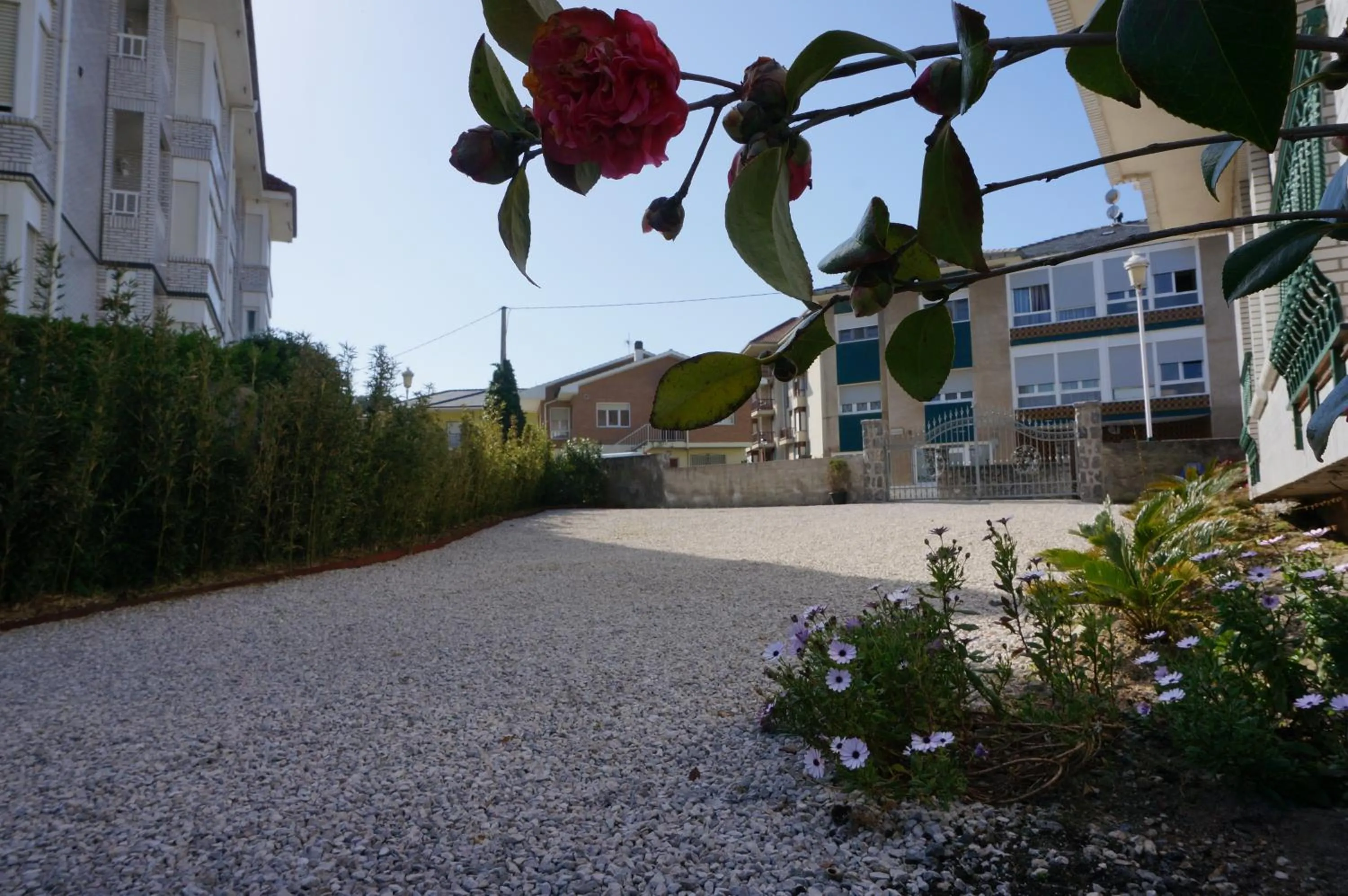 Other in Apartamentos Salceda