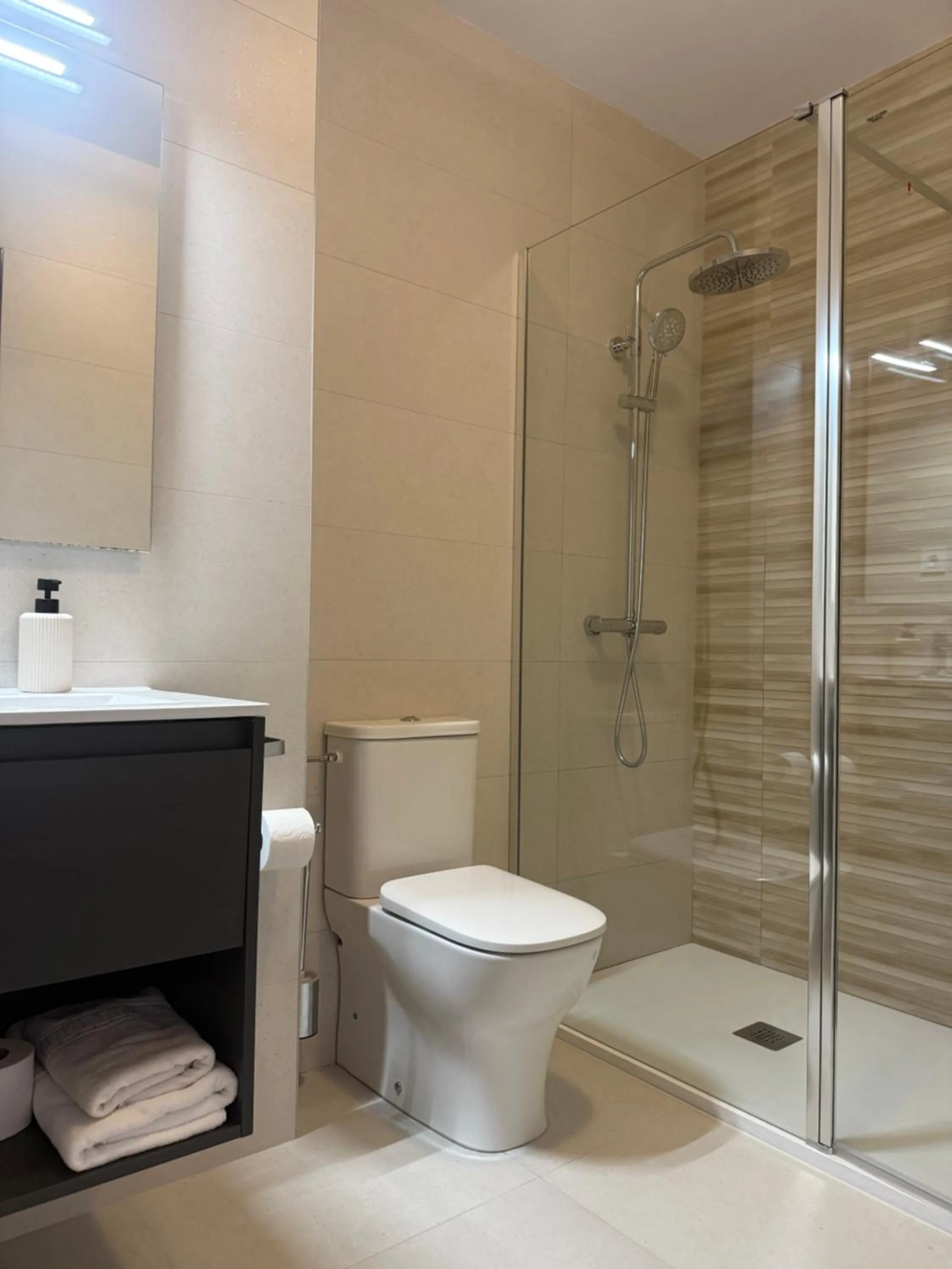 Shower in Apartamentos Salceda