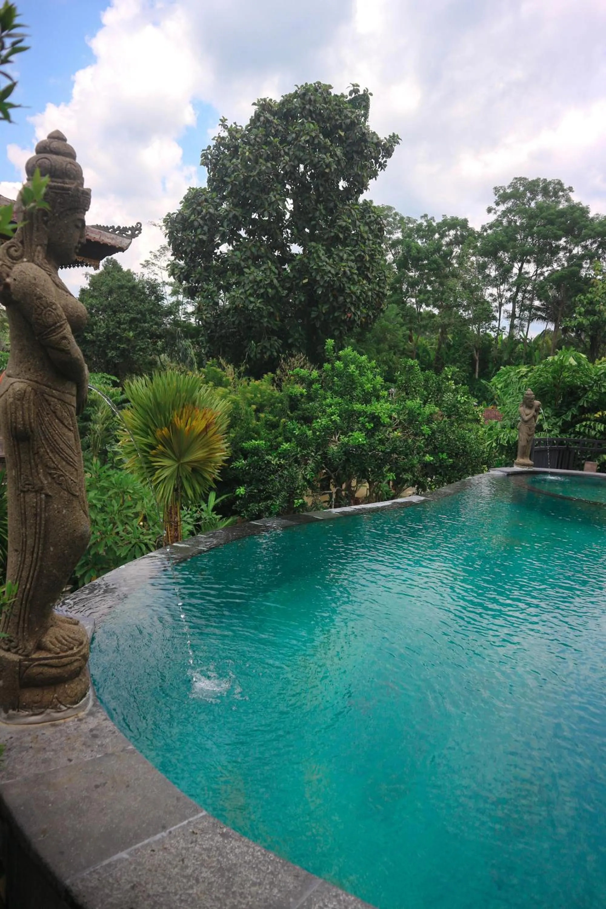 Pool view in The Lumbung Jaya by Uniquecations