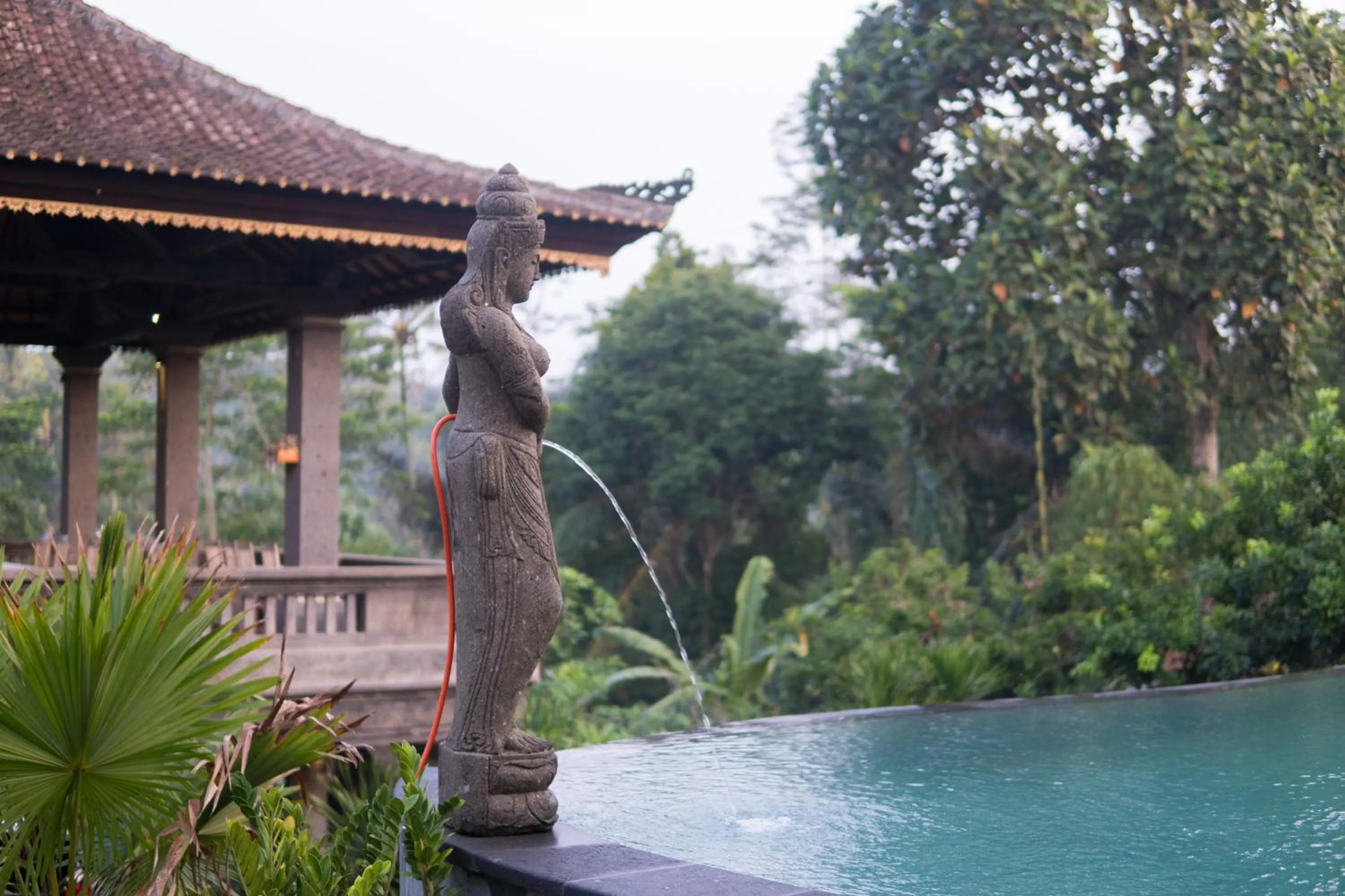 Swimming pool in The Lumbung Jaya by Uniquecations