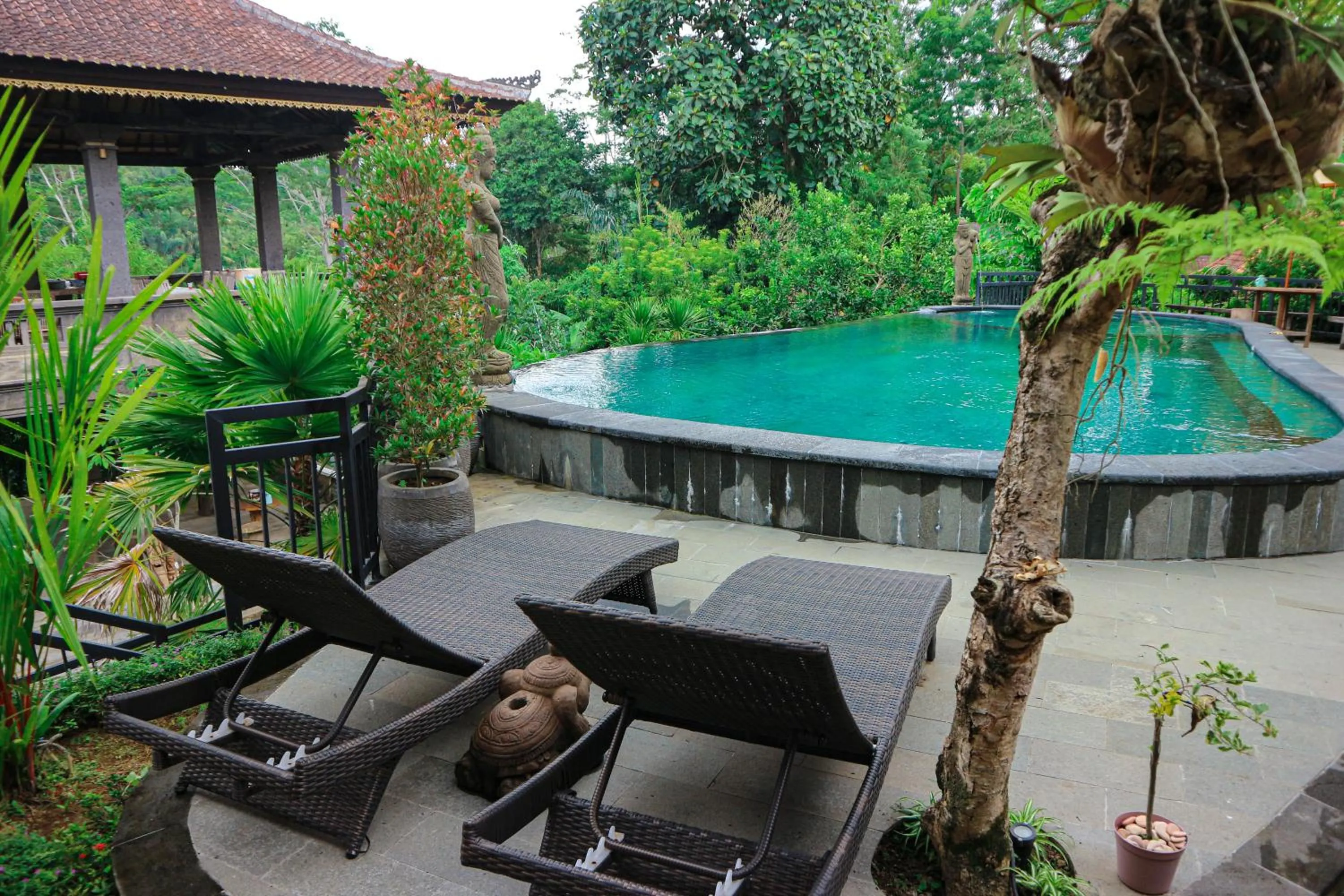 Pool view in The Lumbung Jaya by Uniquecations