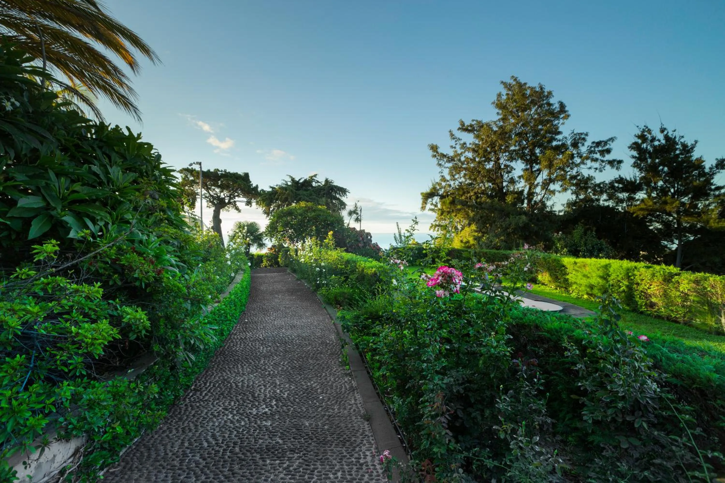 Garden in Hotel Quinta das Vistas