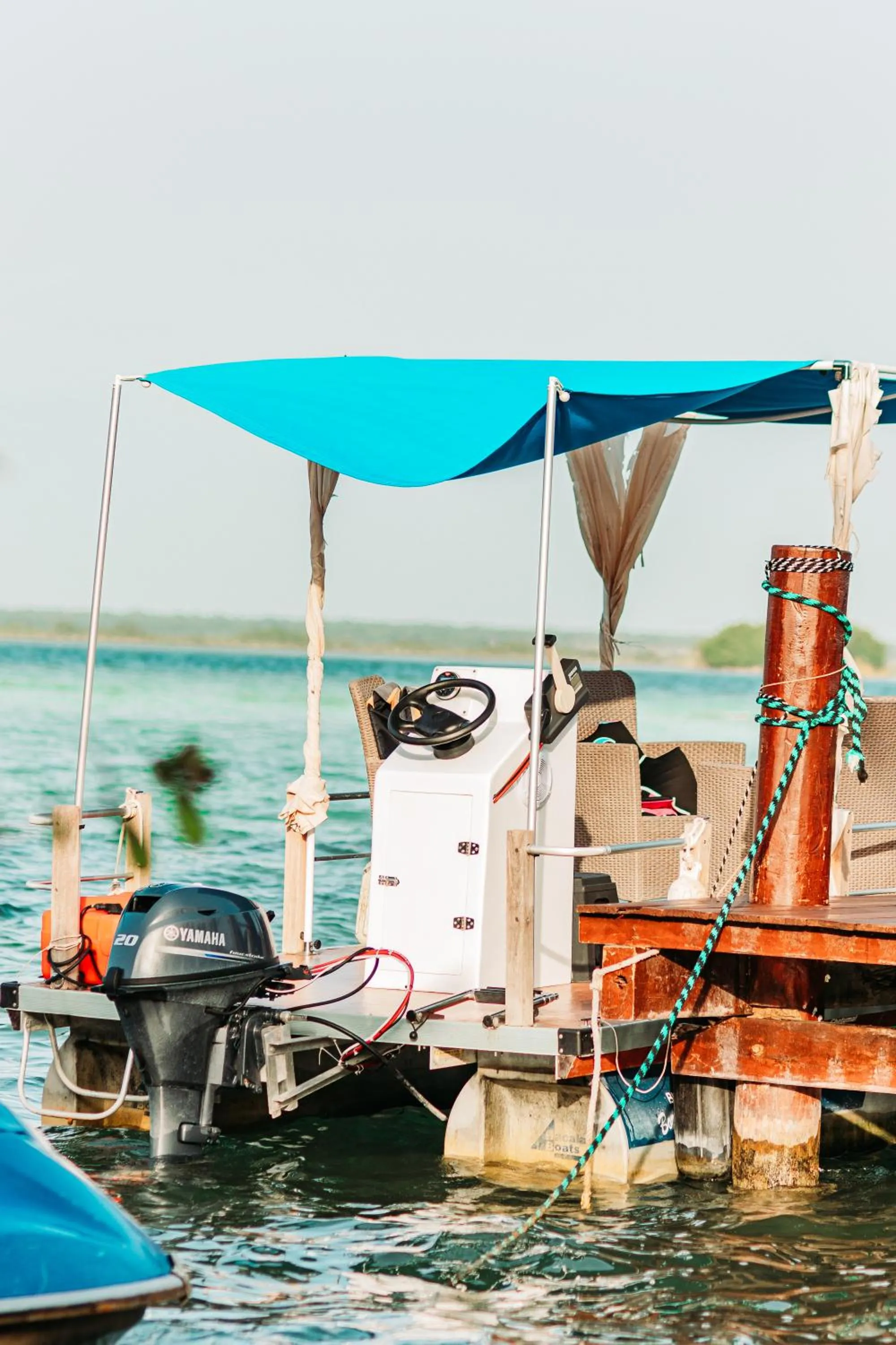 Activities in Blue Bird