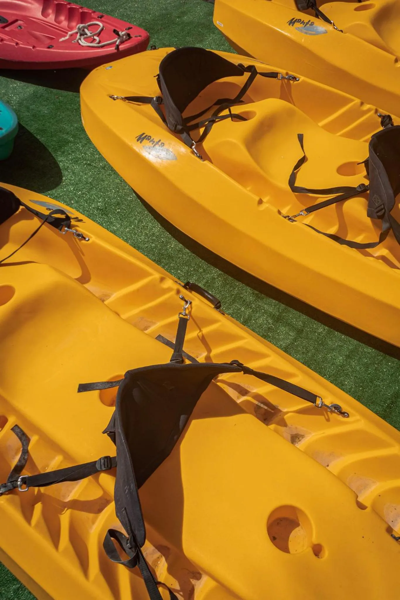 Canoeing in Blue Bird