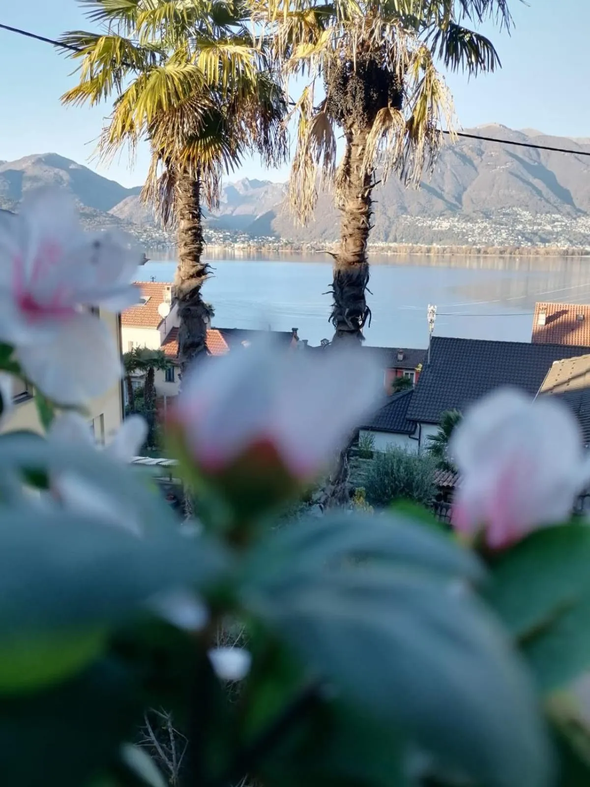 Day in Albergo Ristorante Al Portico