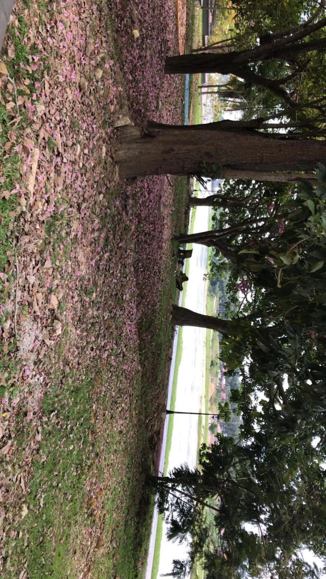 Property building in Hotel Seri Kangsar KK Hotel