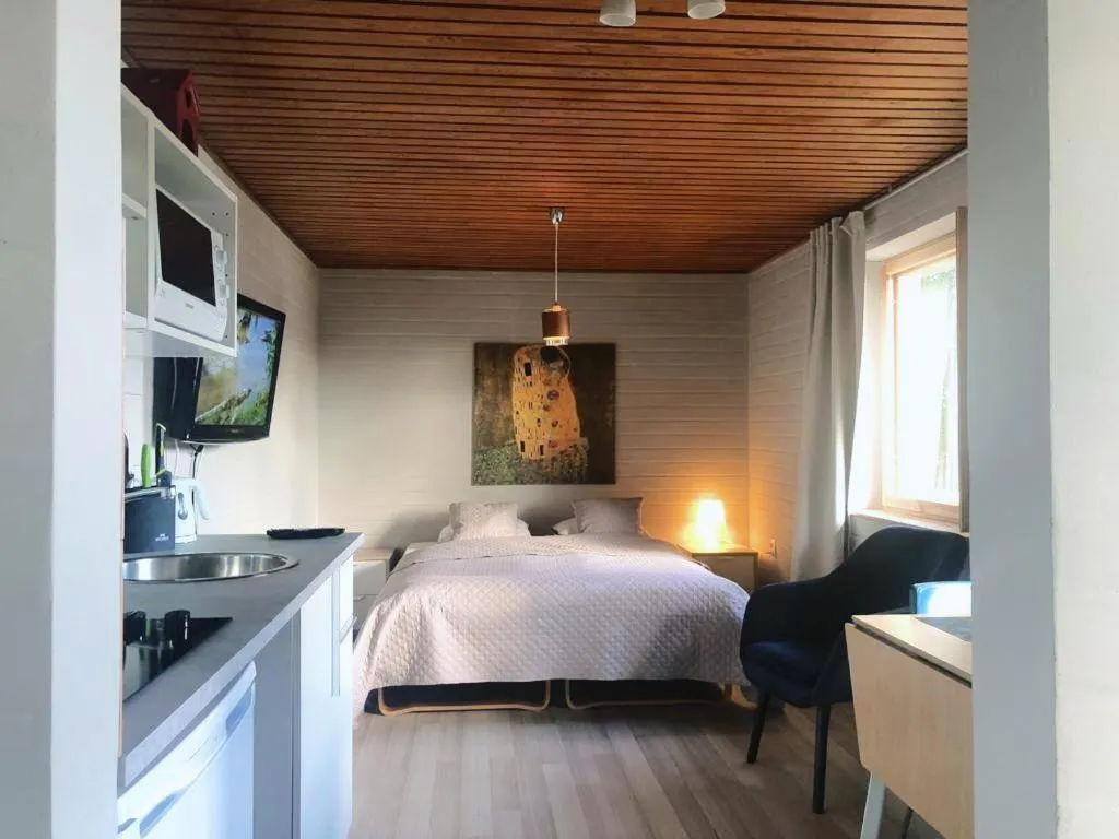 One-Bedroom Apartment in Villa Rajala