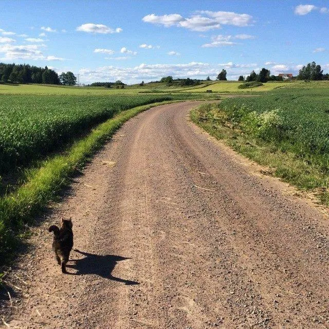 Natural landscape in Klefstad gård