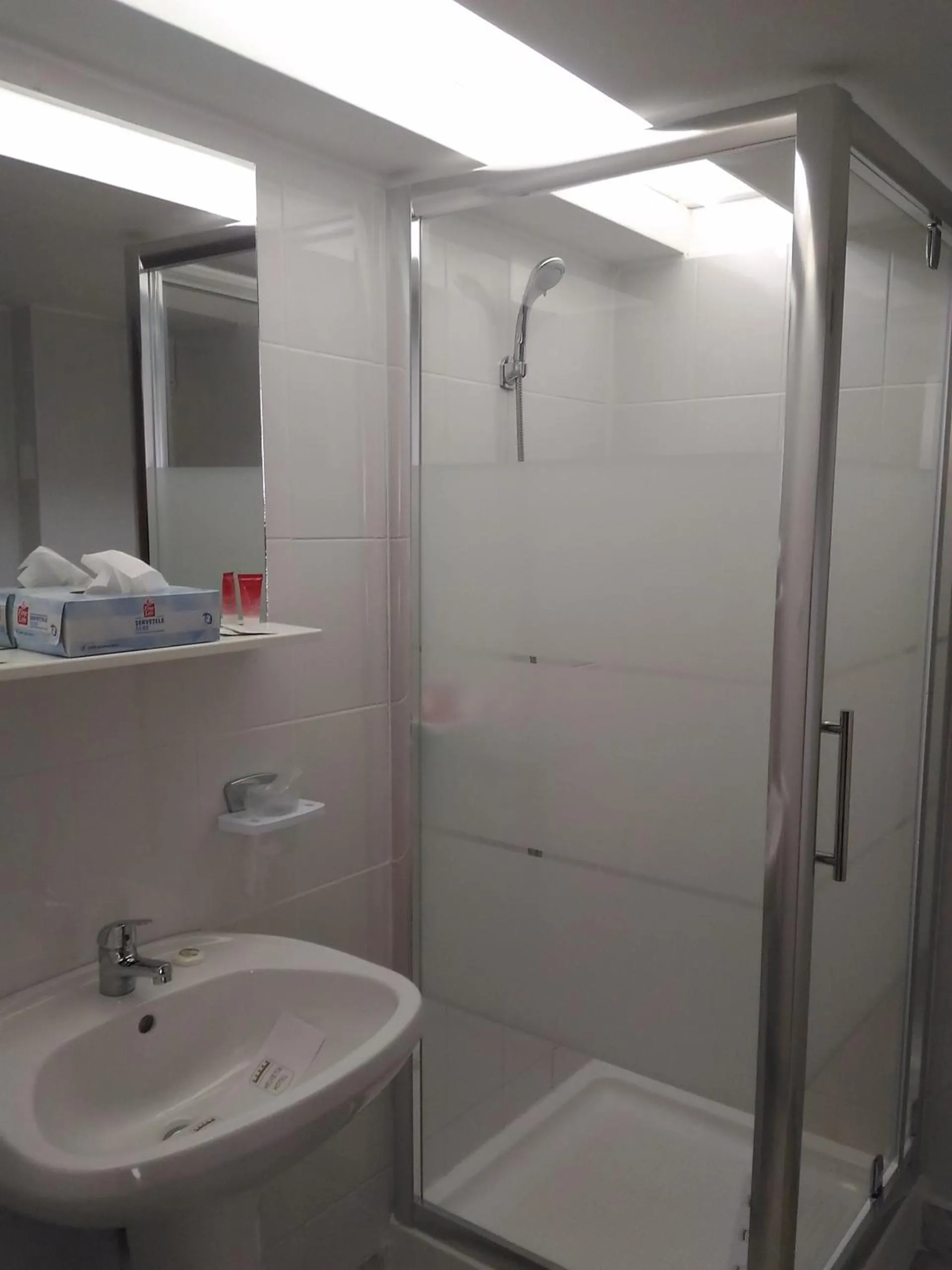 Shower in Pensiunea Helvetia