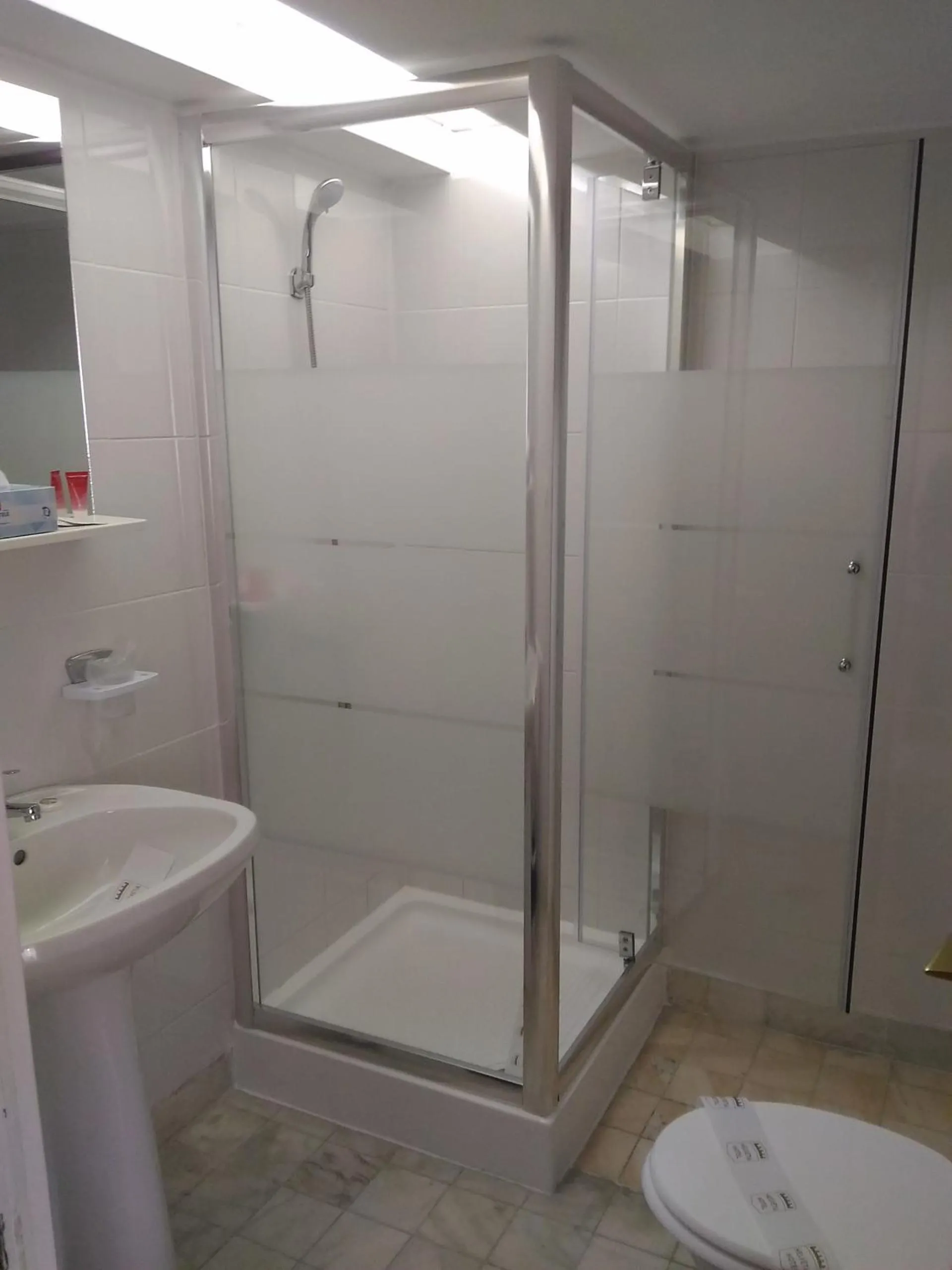 Shower in Pensiunea Helvetia