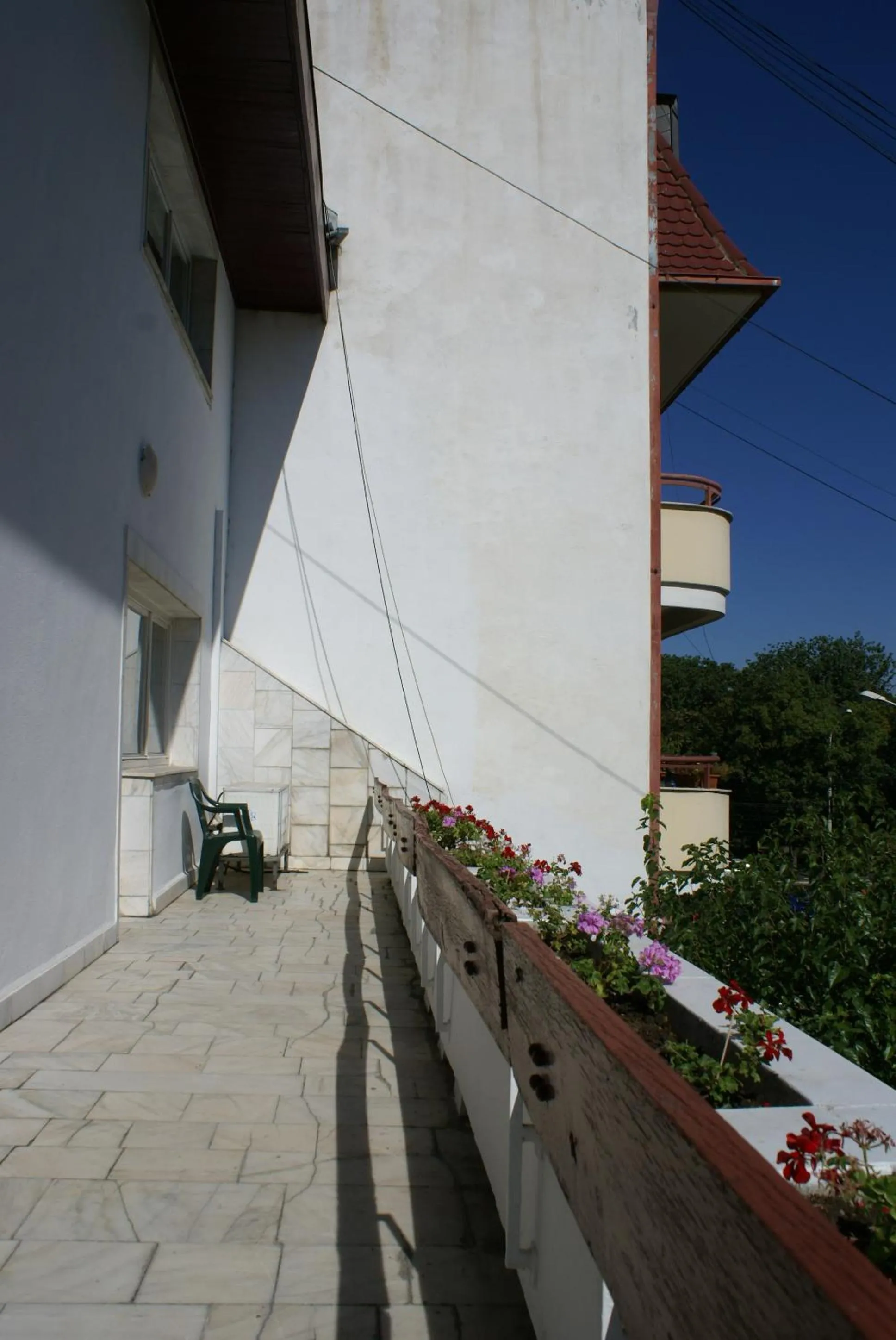 Balcony/Terrace in Pensiunea Helvetia