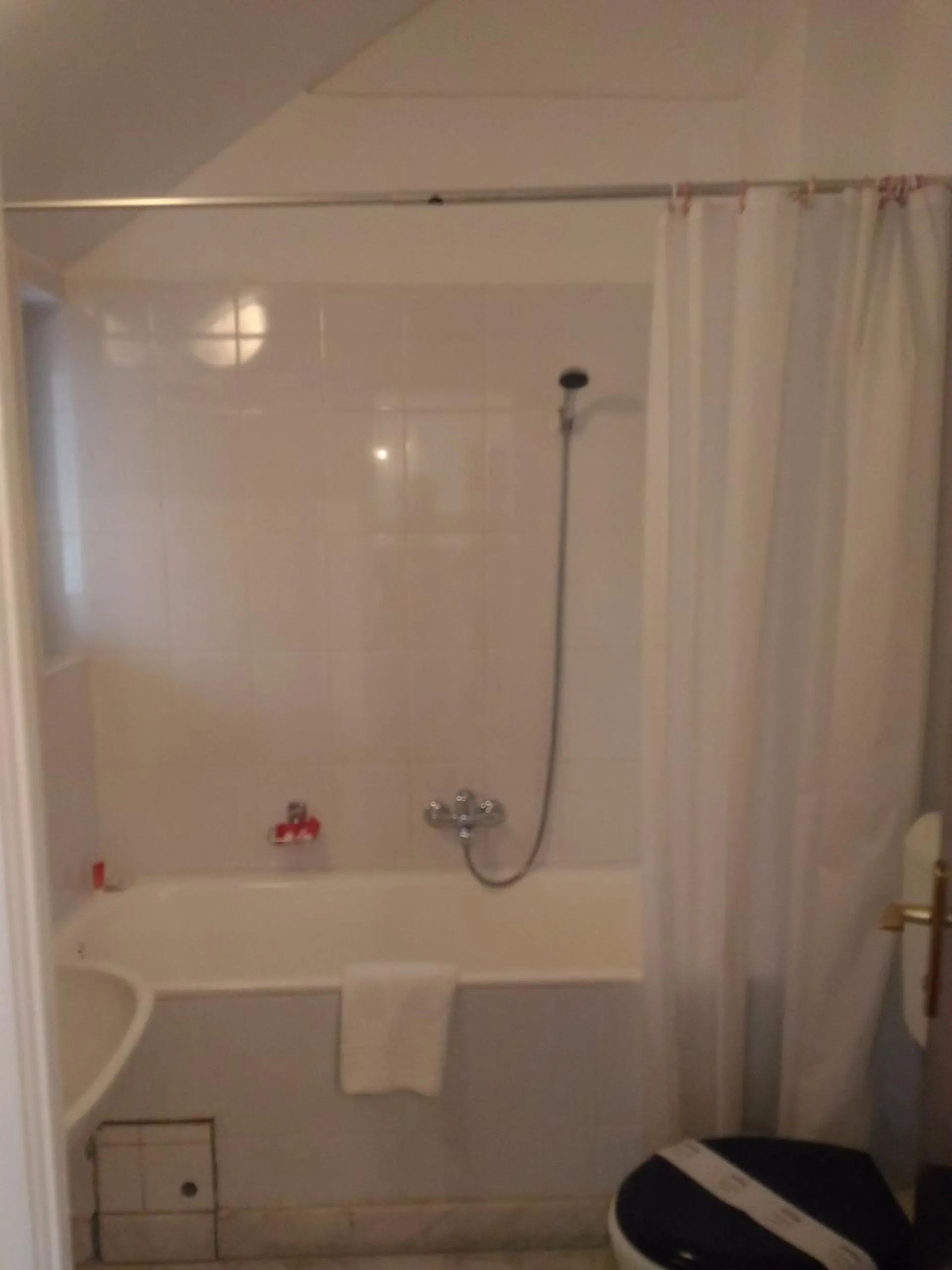 Bathroom in Pensiunea Helvetia