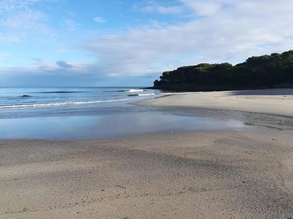 Beach in Hotel Villa Campana
