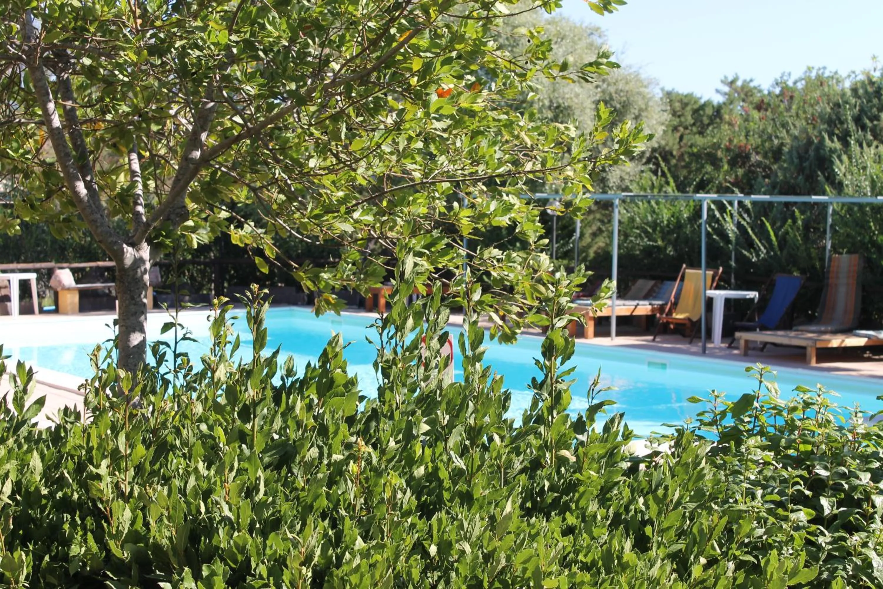 Swimming pool in Hotel Villa Campana