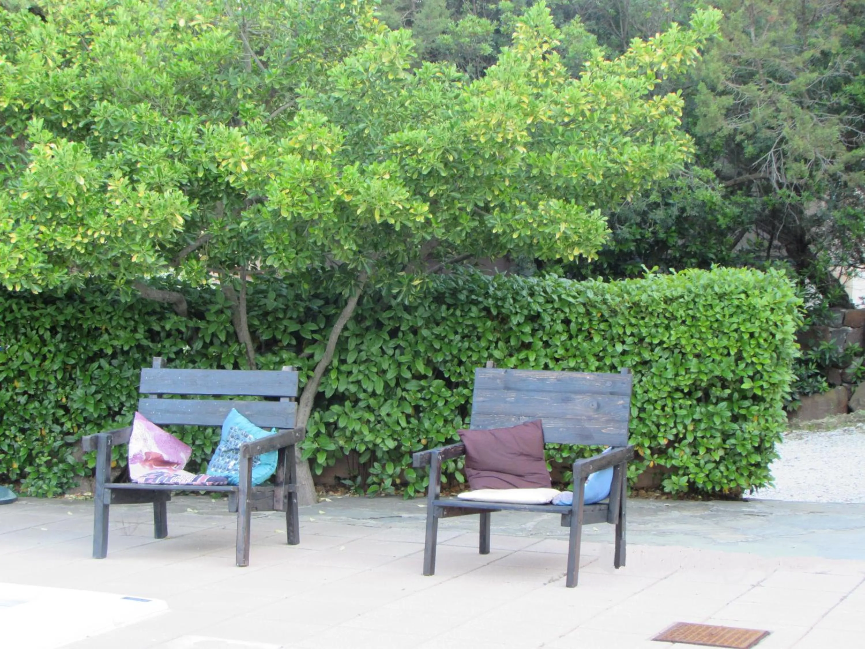 Garden in Hotel Villa Campana