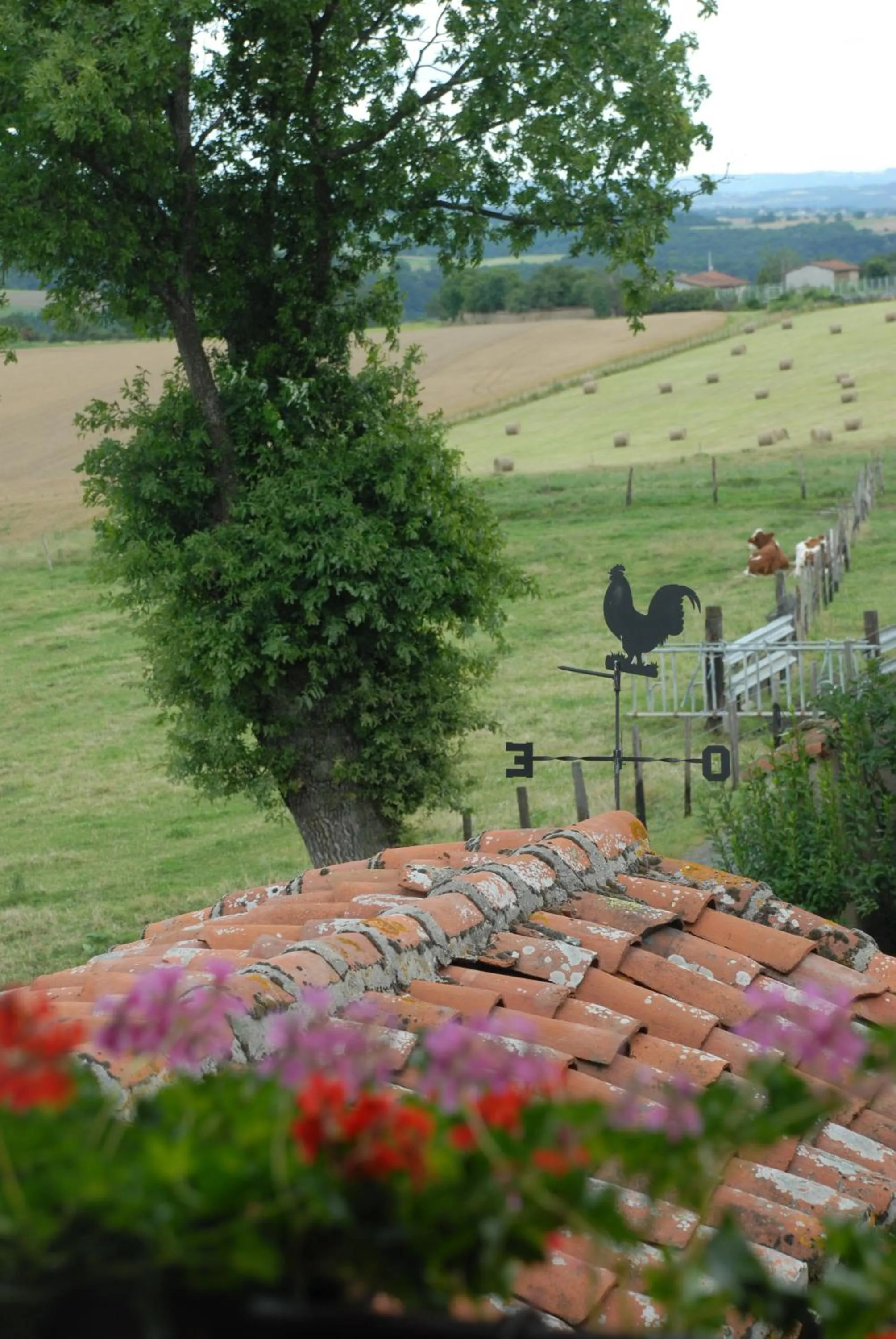 Area and facilities in Chez Jacotte et Elia