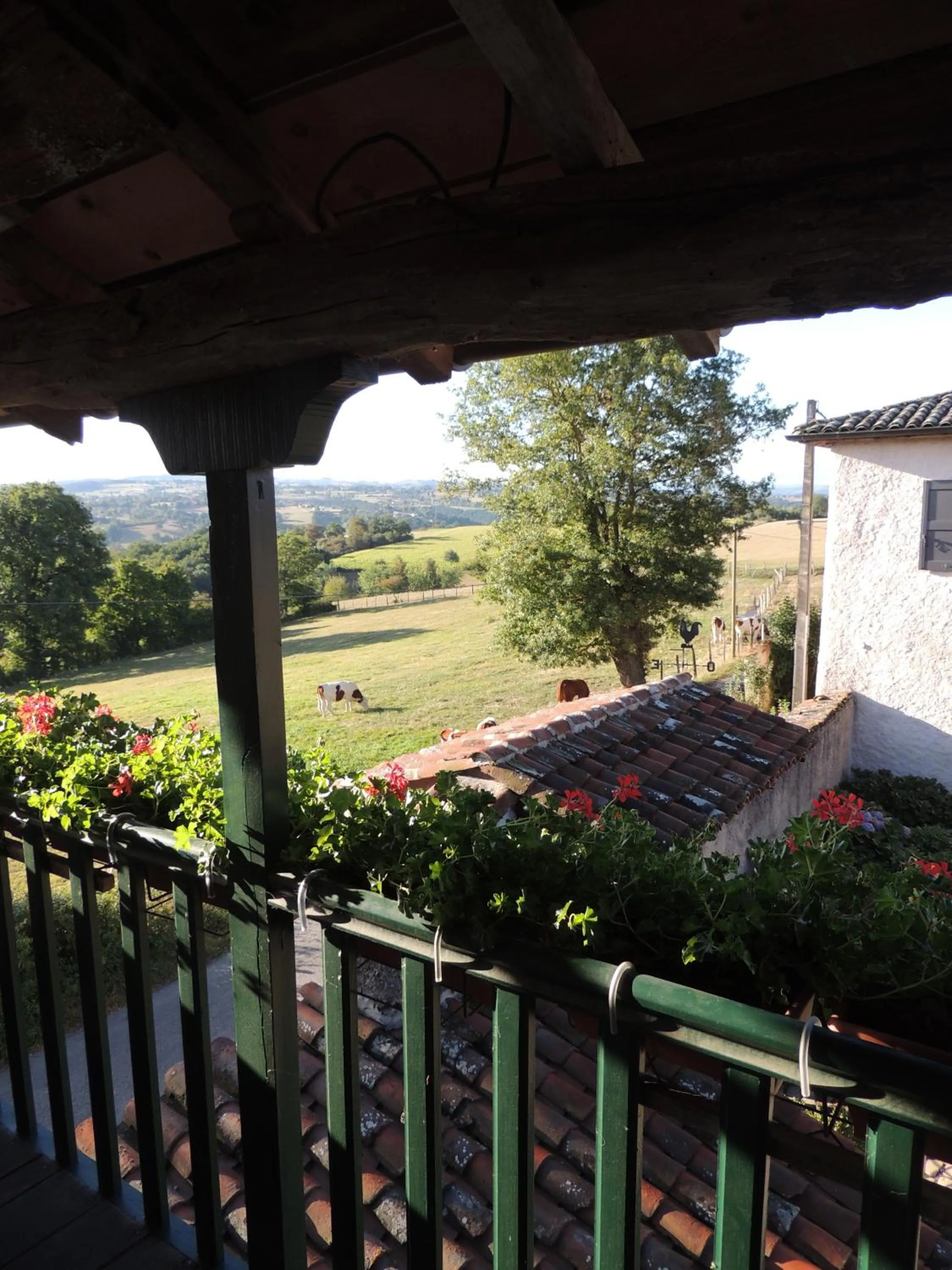 Balcony/Terrace in Chez Jacotte et Elia