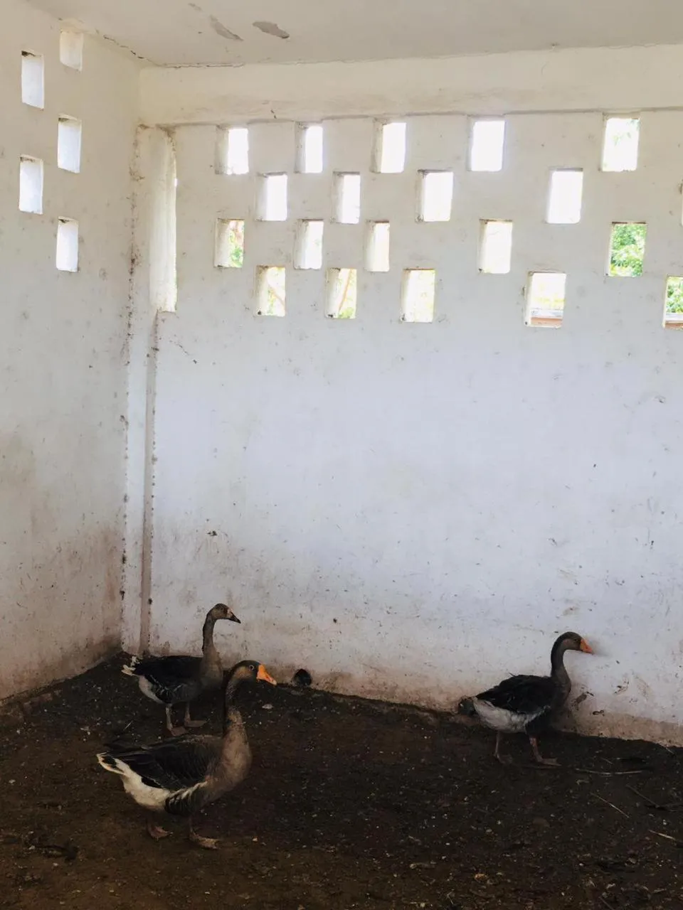 Casa Hacienda San Gabriel