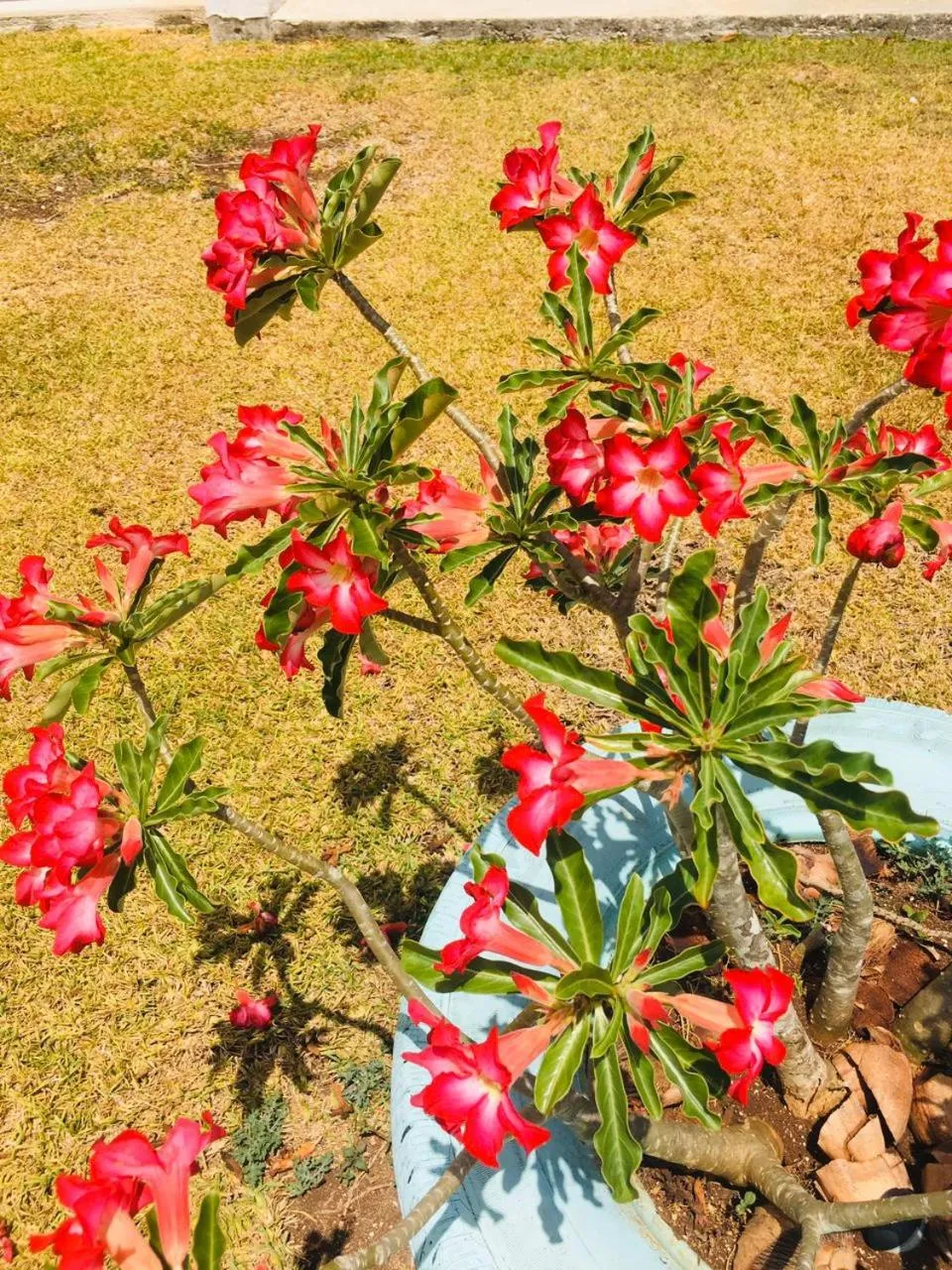 Casa Hacienda San Gabriel