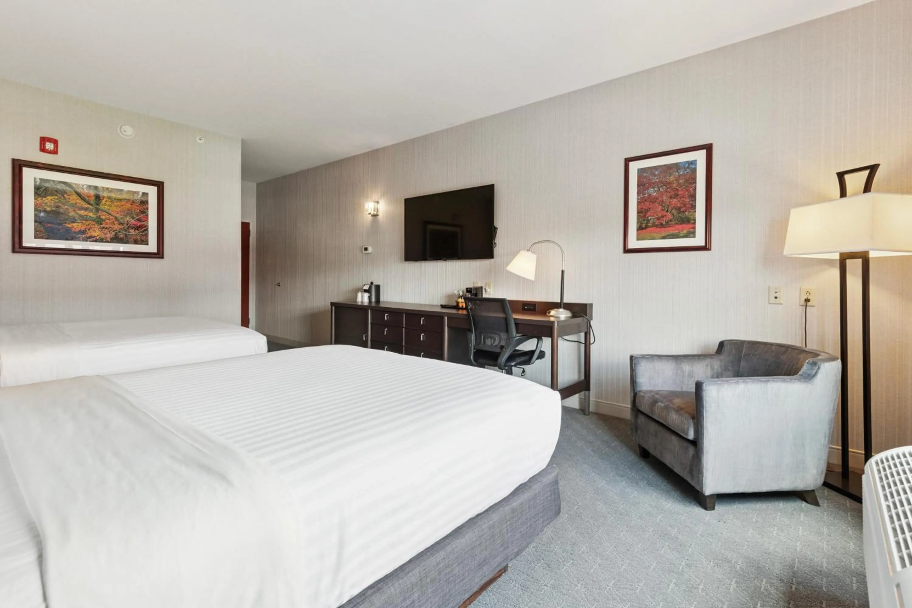 Bedroom, Bed in The Hotel Warner