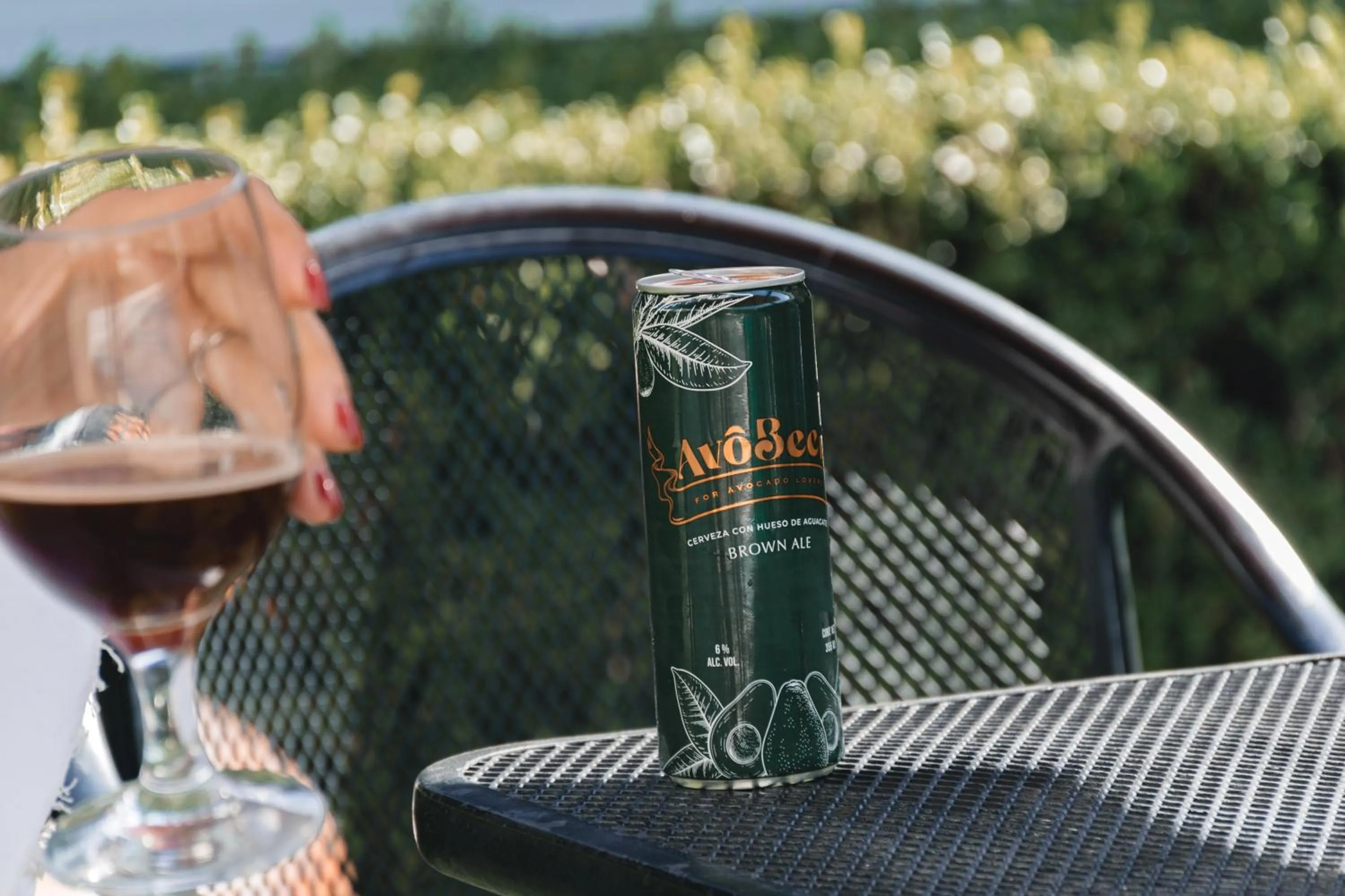 Swimming pool in Hotel & Suites Villa del Sol