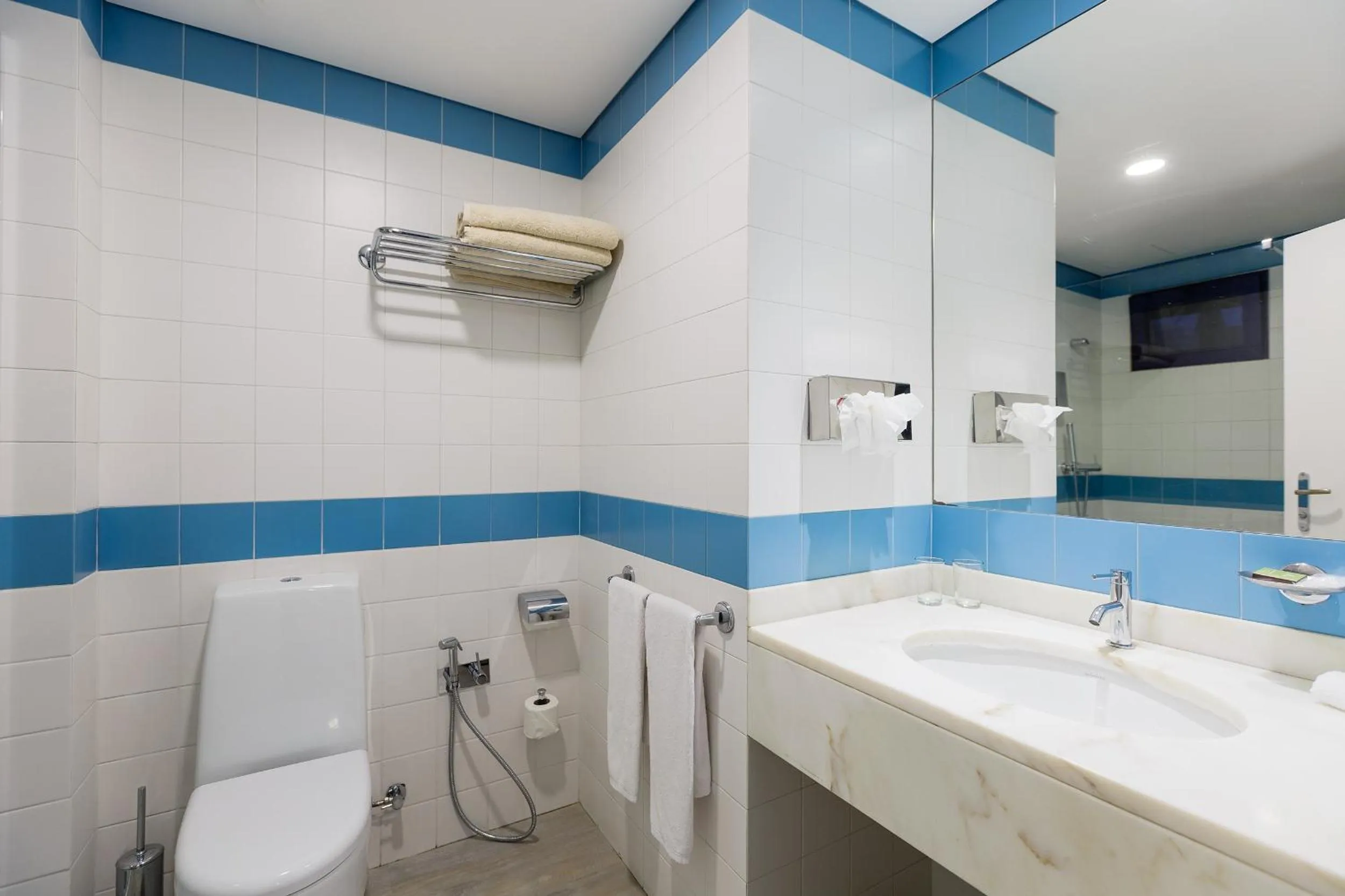 Toilet in Terrace Mar Suite Hotel