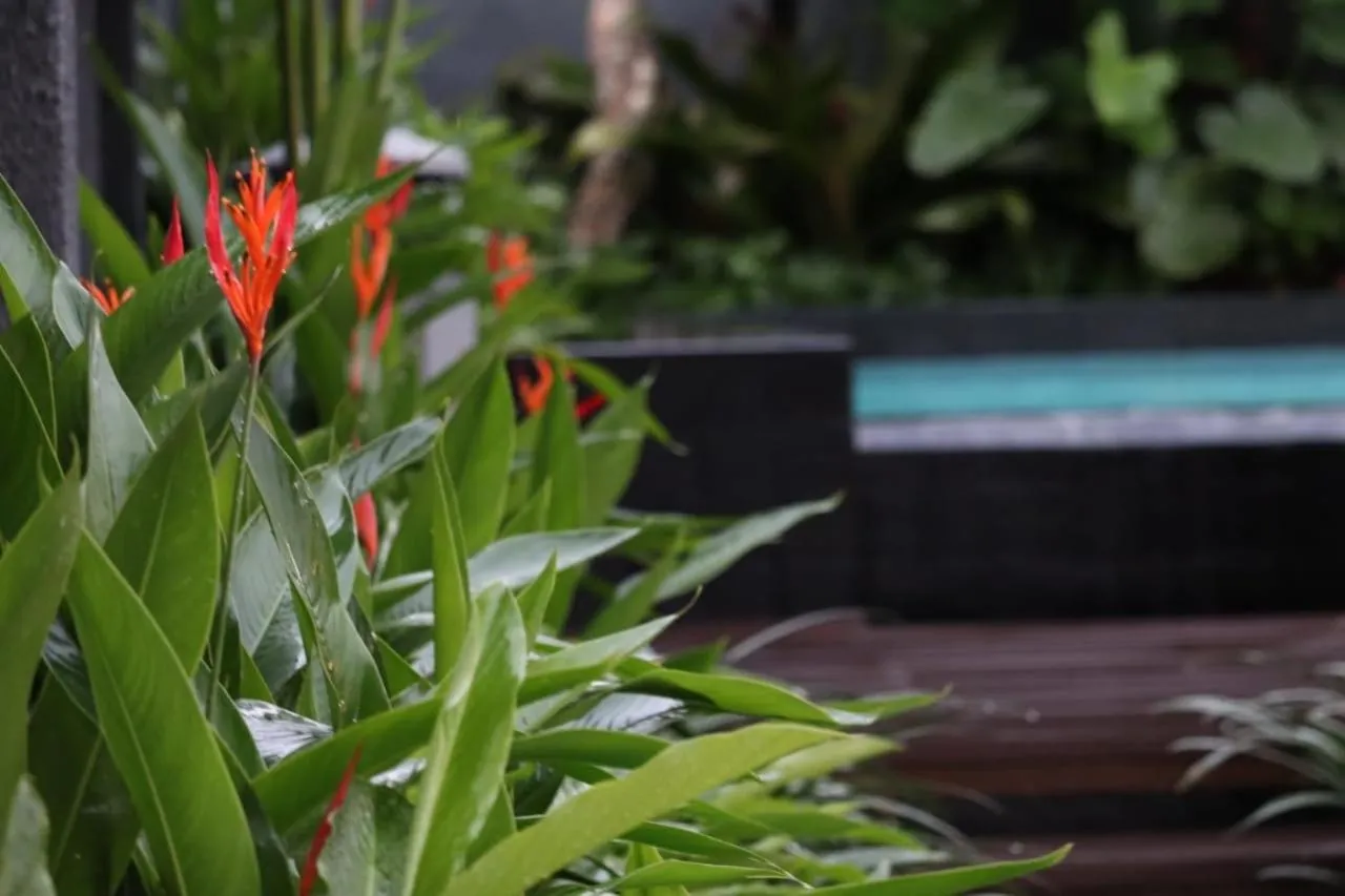 Garden in Front One Inn Kediri