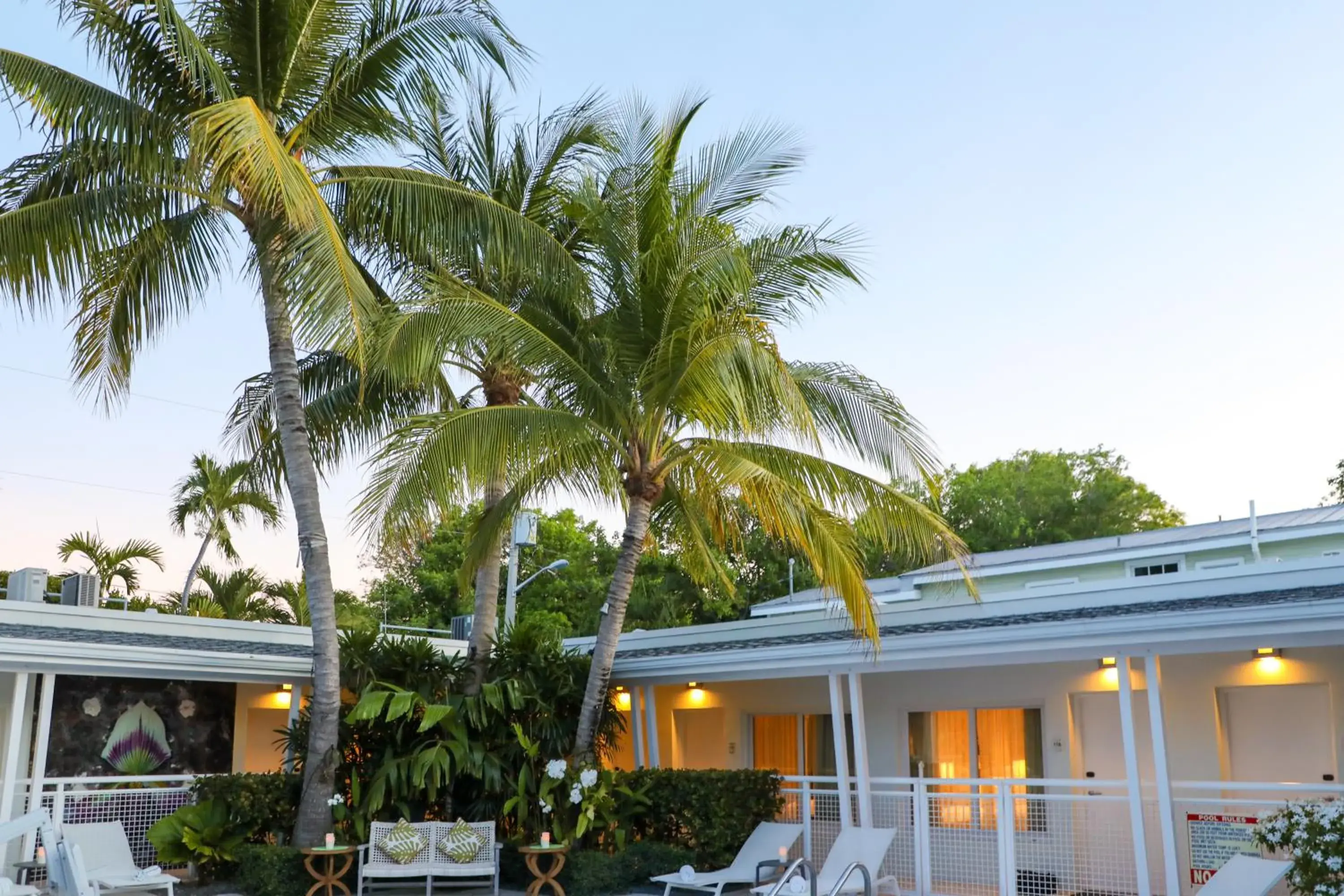 Pool view in Orchid Key Inn - Adults Only Pool view in Orchid Key Inn - Adults Only