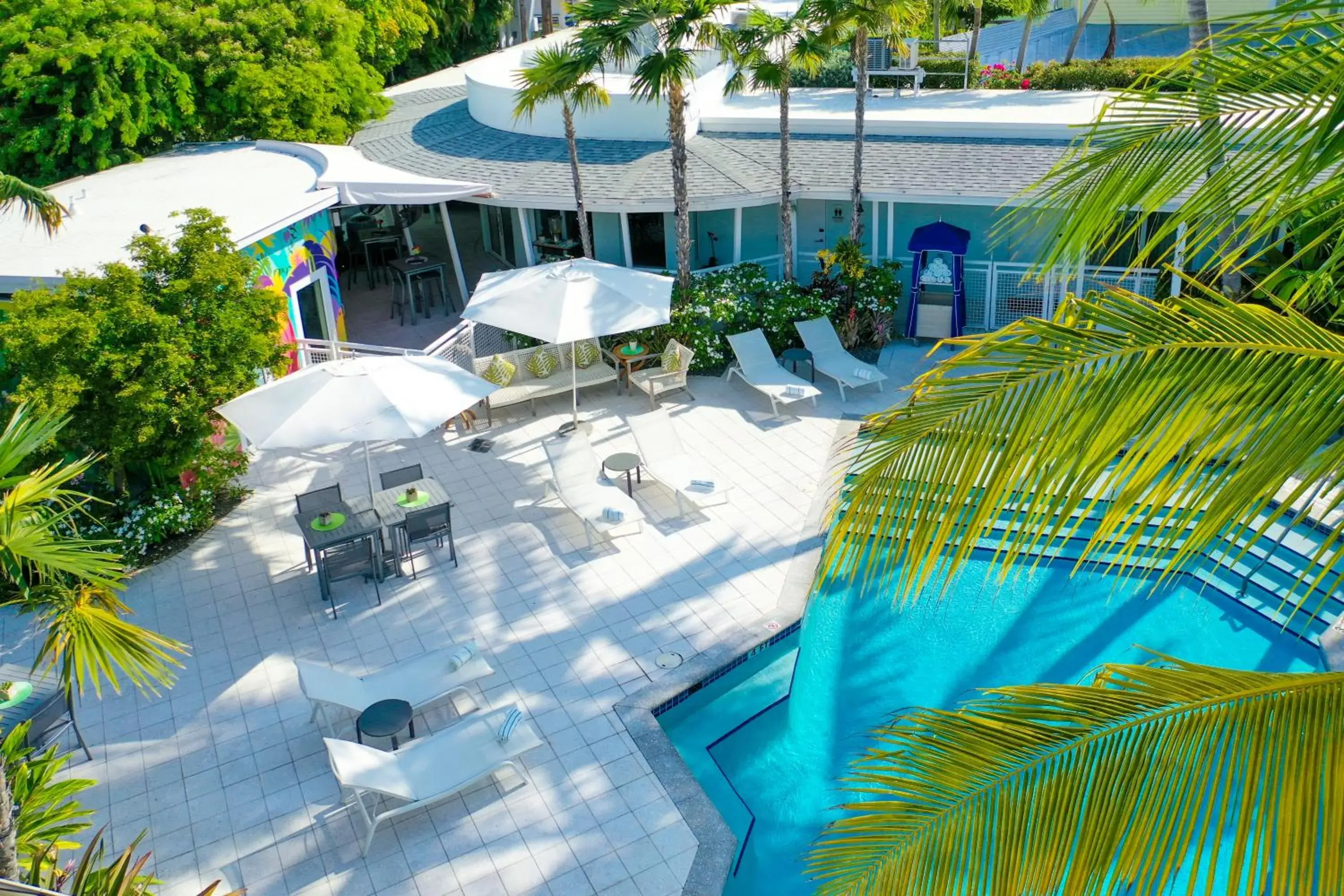 Pool view in Orchid Key Inn - Adults Only Pool view in Orchid Key Inn - Adults Only
