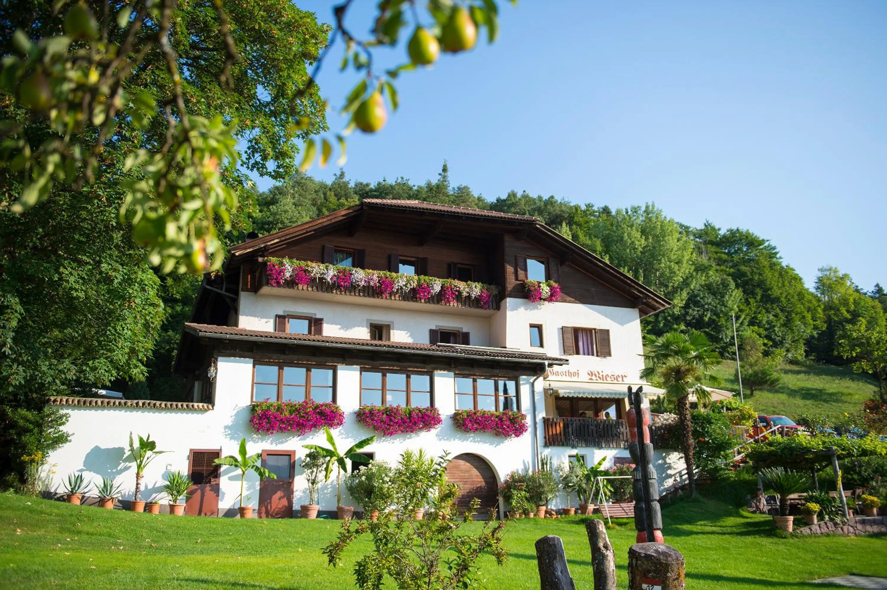 Facade/entrance in Gasthof Wieser