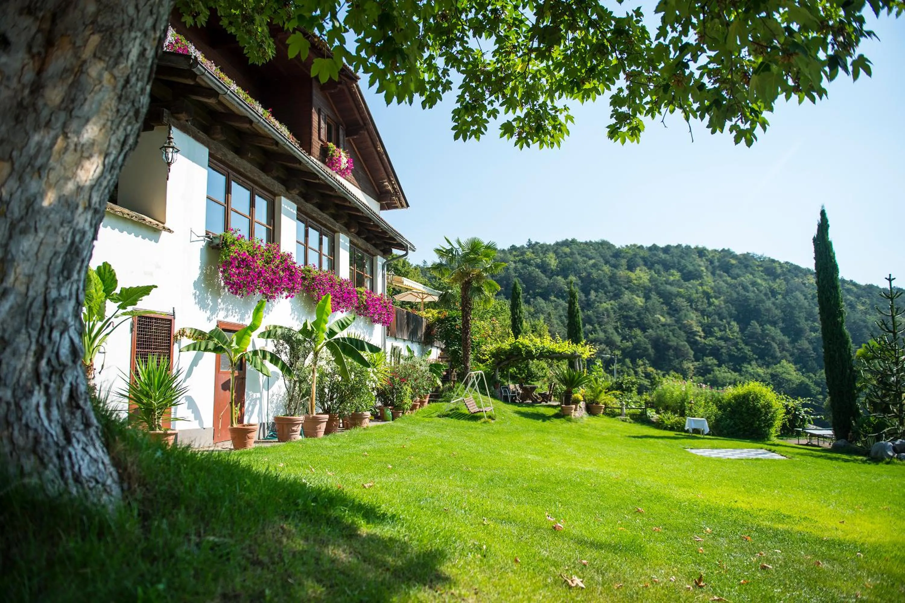 Property building in Gasthof Wieser