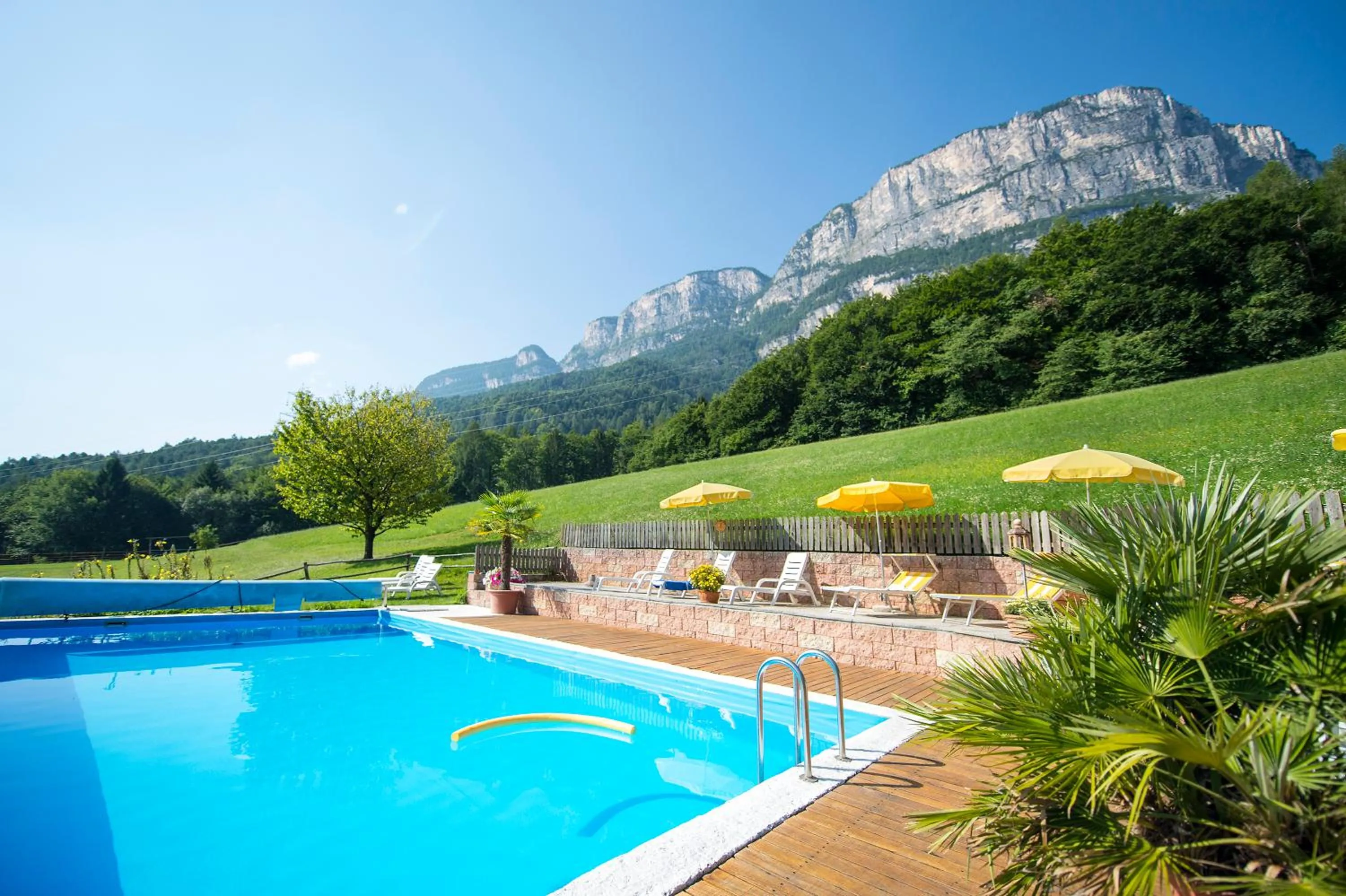 Swimming pool in Gasthof Wieser