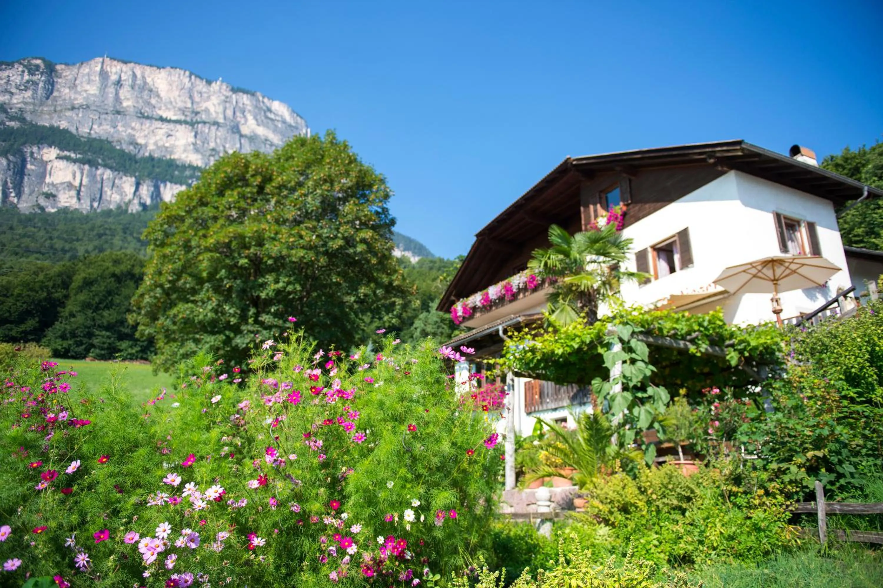 Property building in Gasthof Wieser