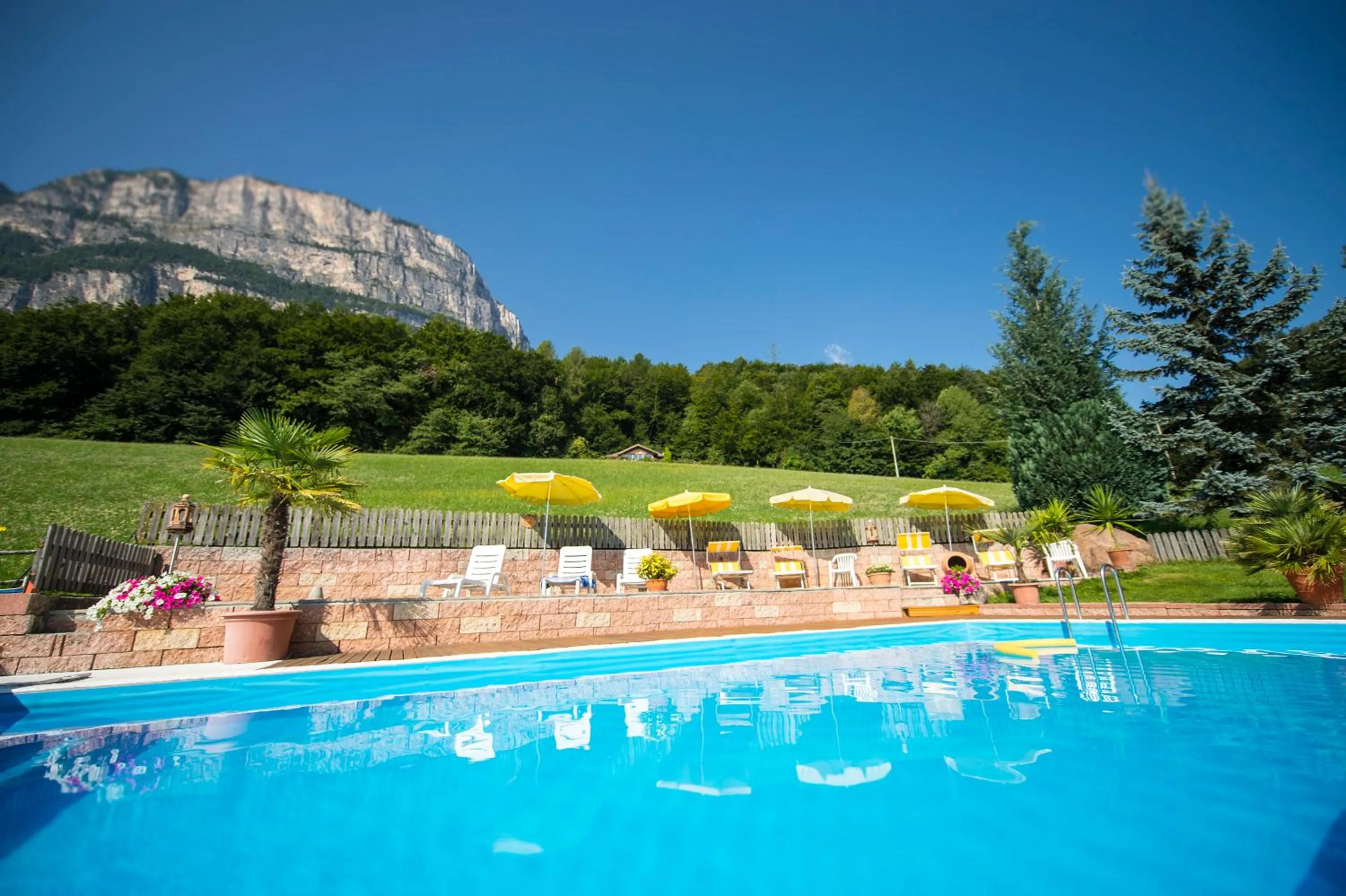 Swimming pool in Gasthof Wieser