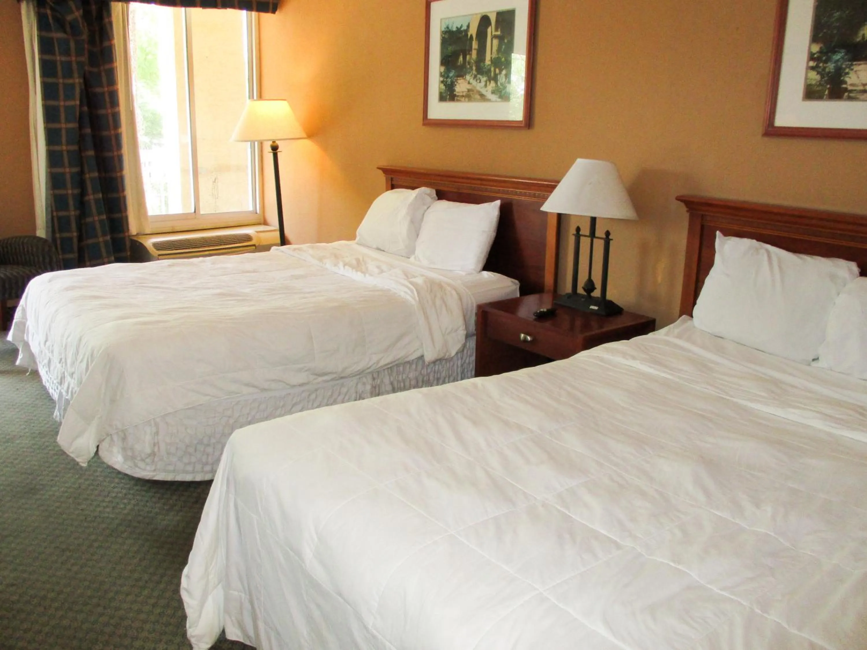 Bed in Motel 6-Gainesville, FL