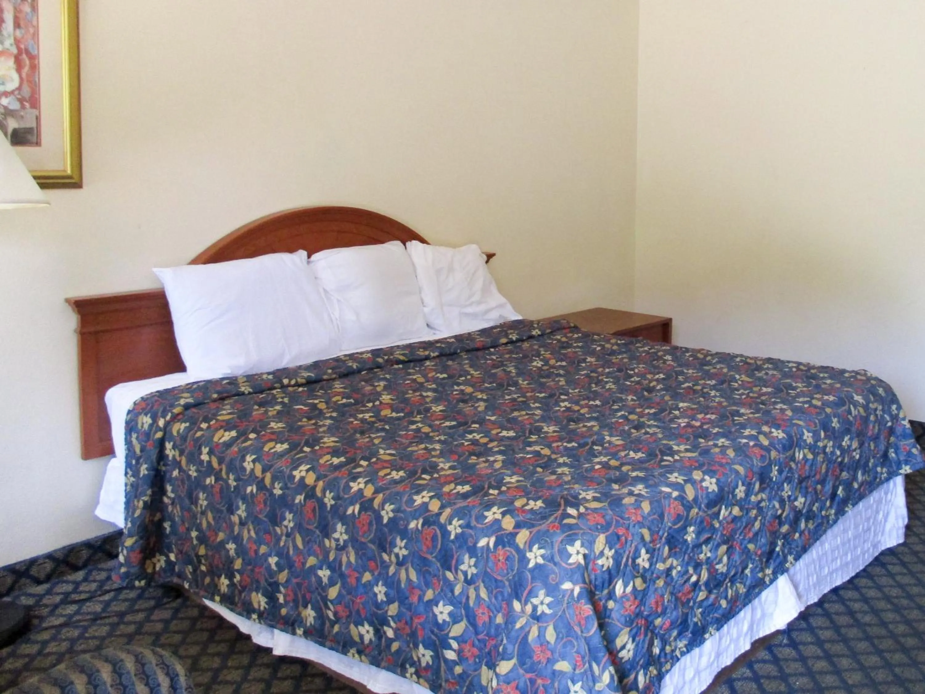 Bed in Motel 6-Gainesville, FL