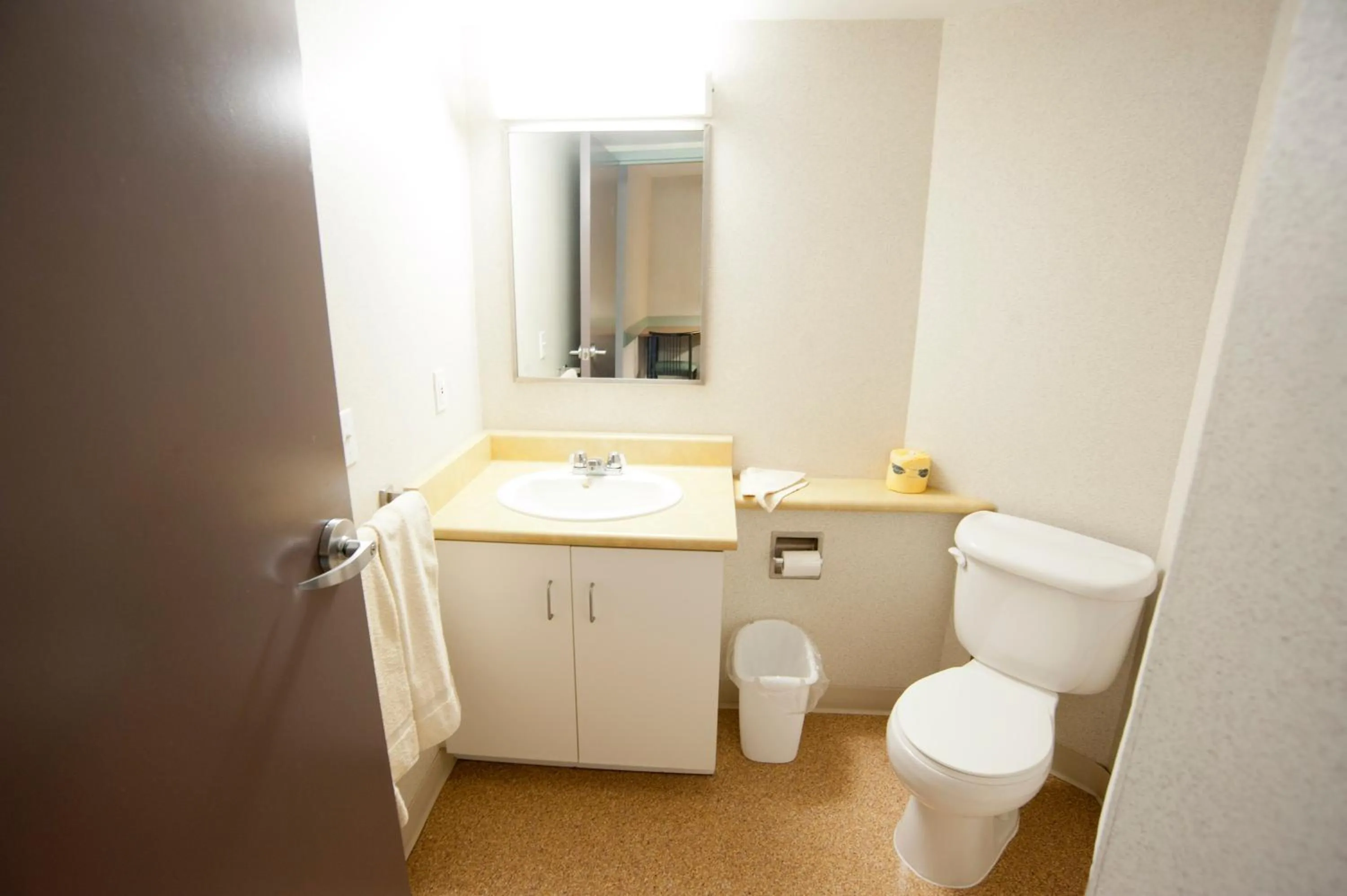 Bathroom in Residence & Conference Centre- Barrie