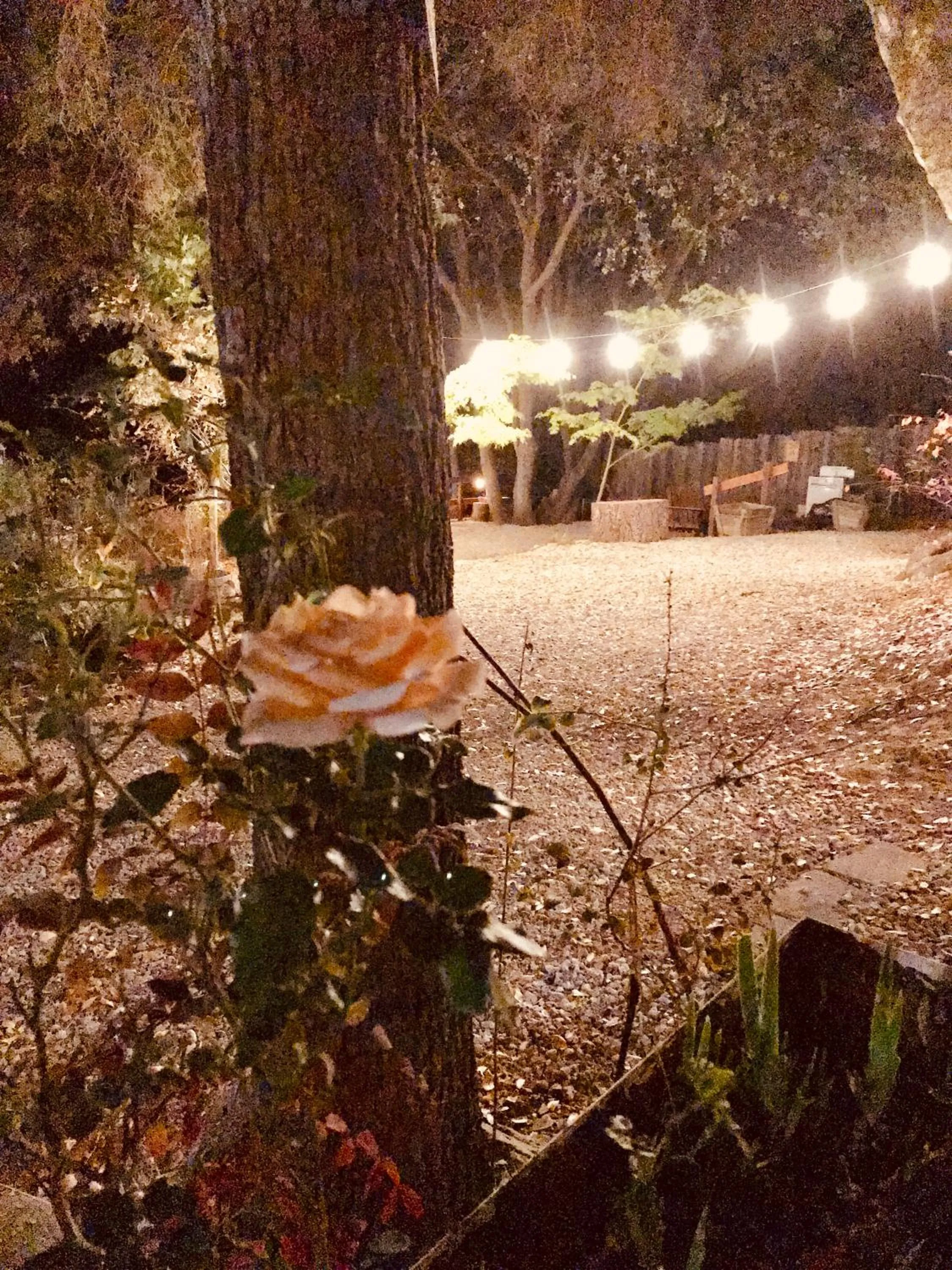 Garden in Sierra Mountain Lodge - Vacation Rentals - Yosemite