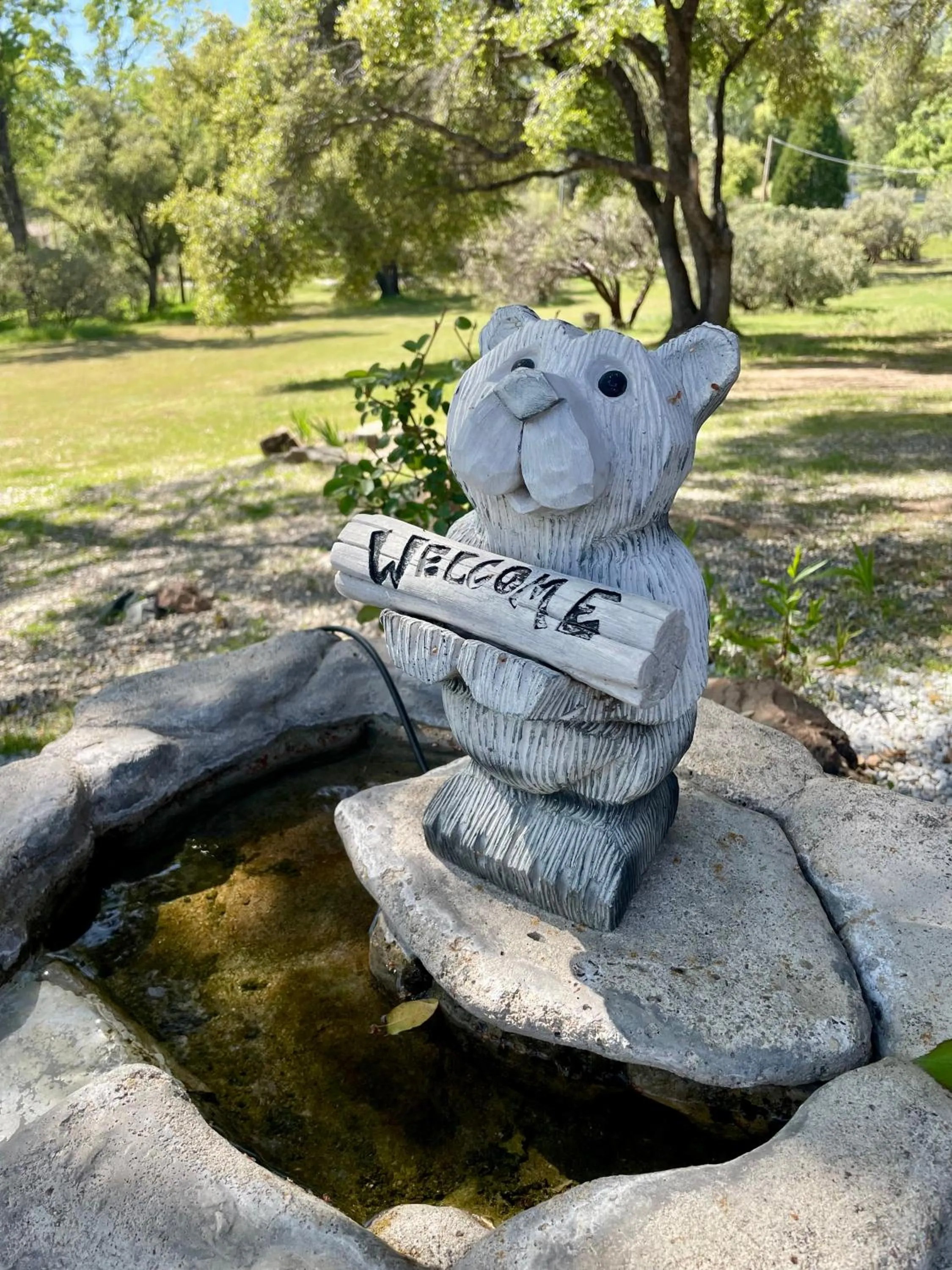 Natural landscape in Sierra Mountain Lodge - Vacation Rentals - Yosemite