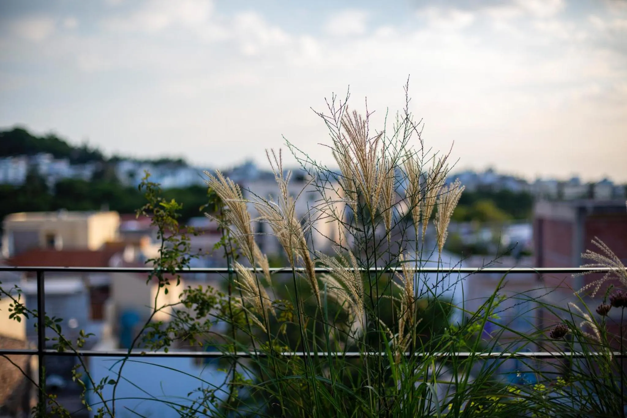 Property building in The Foundry Suites