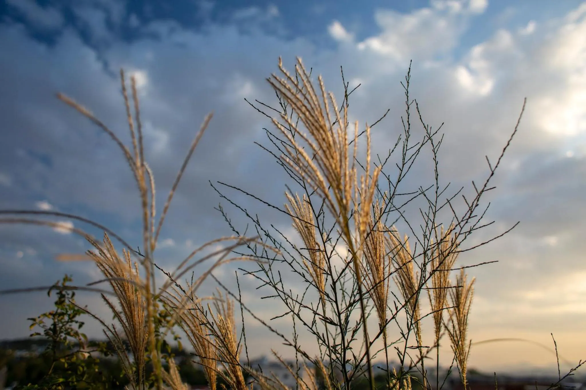 Summer in The Foundry Suites