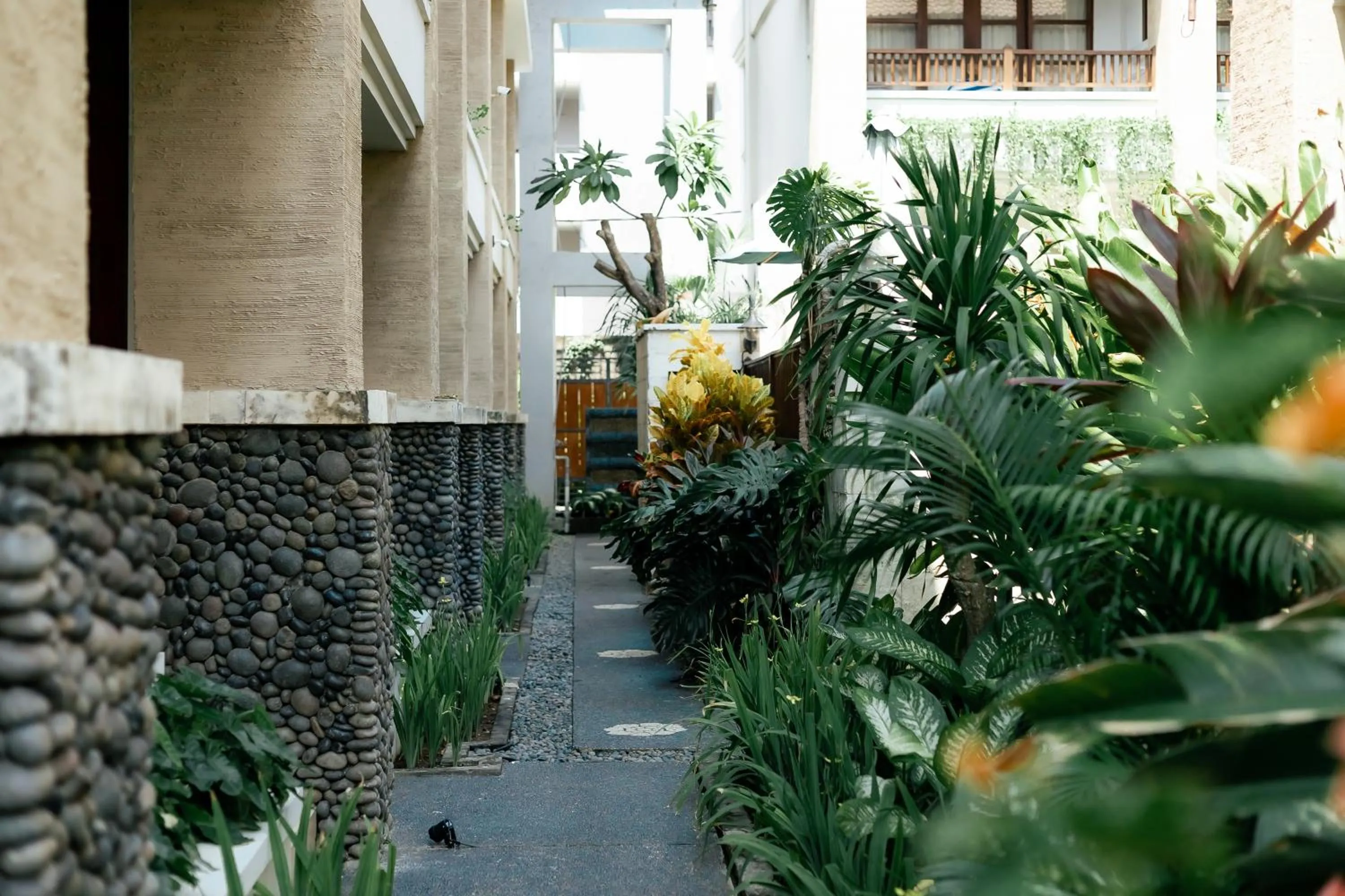 Garden in Fourteen Roses Beach Hotel