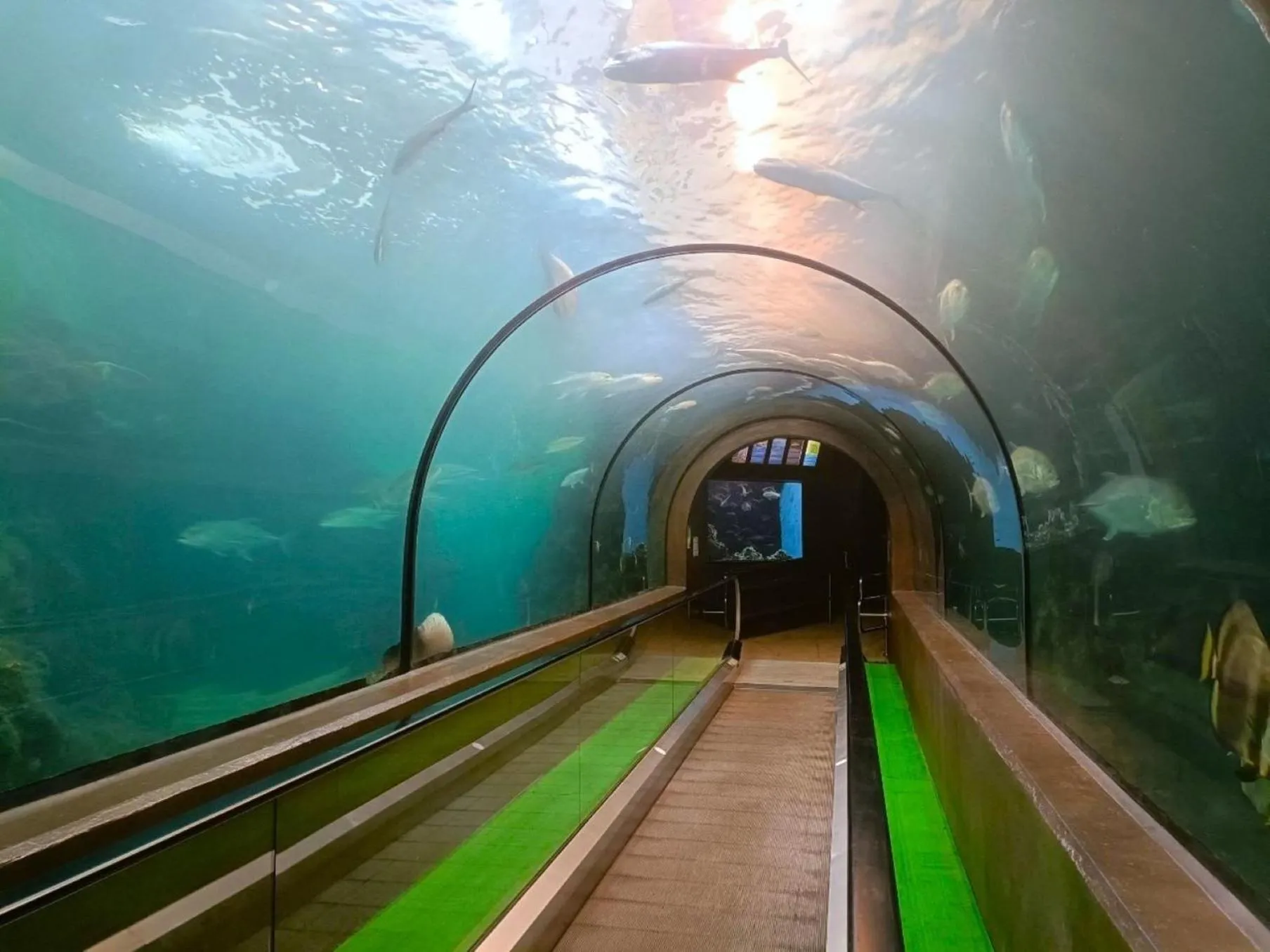 Area and facilities, Swimming Pool in Phuket Panwa Beachfront Resort