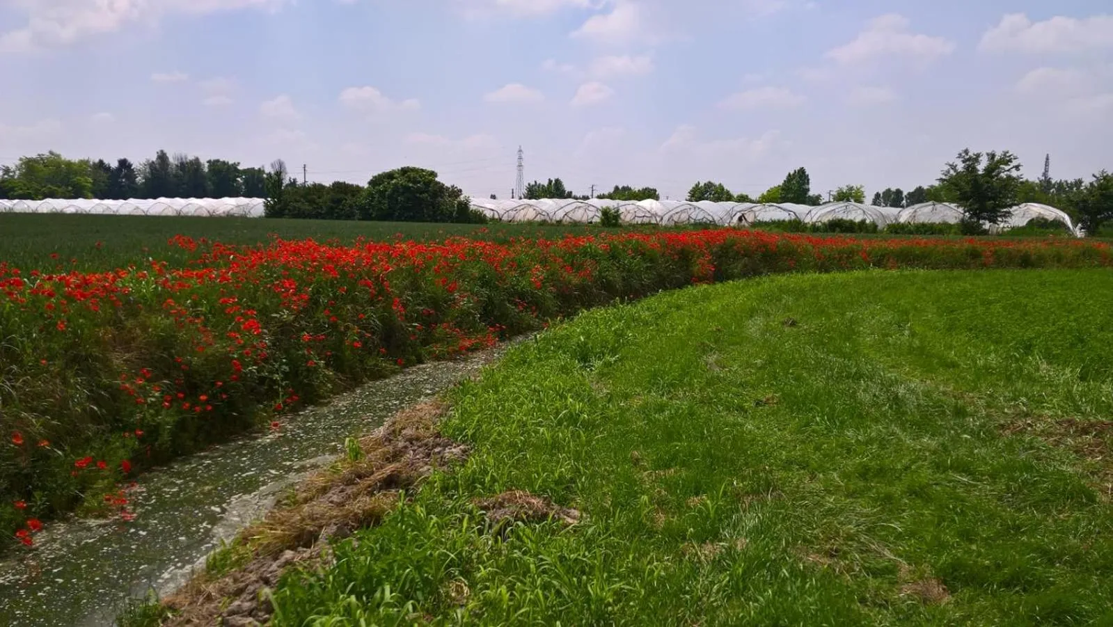 Agriturismo Cipolli e Podò Corte Carlini