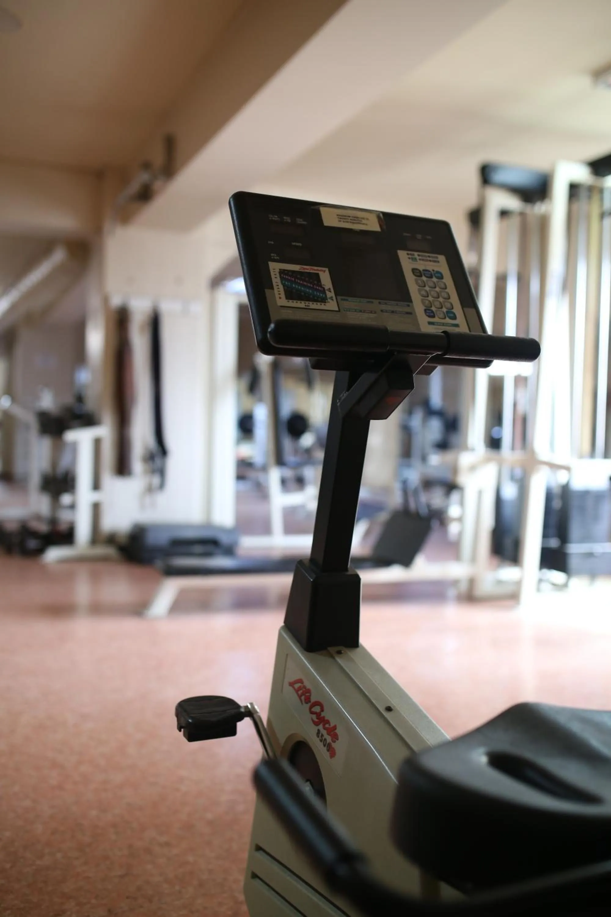 Fitness centre/facilities in Hotel Eken Prestige