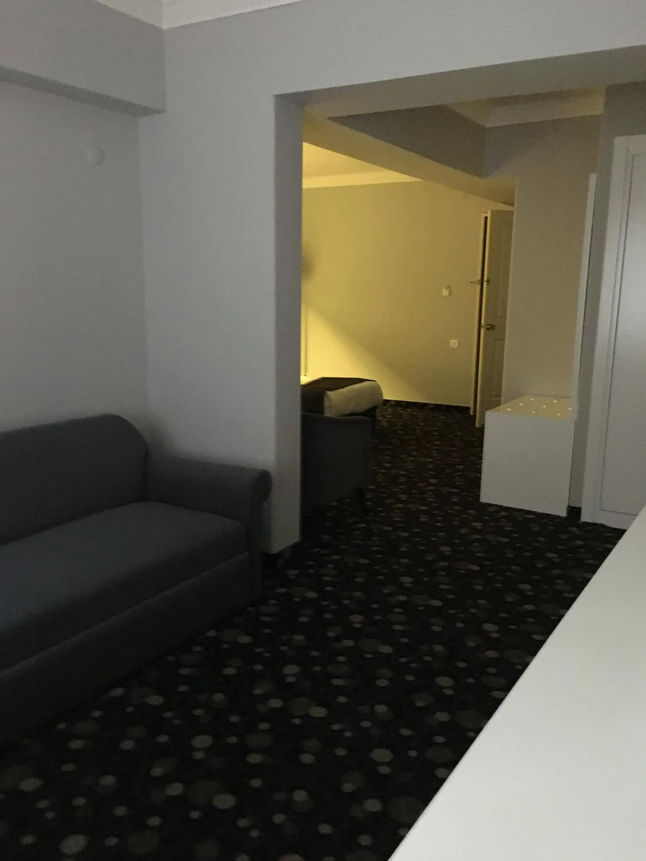 Photo of the whole room in Hotel Eken Prestige