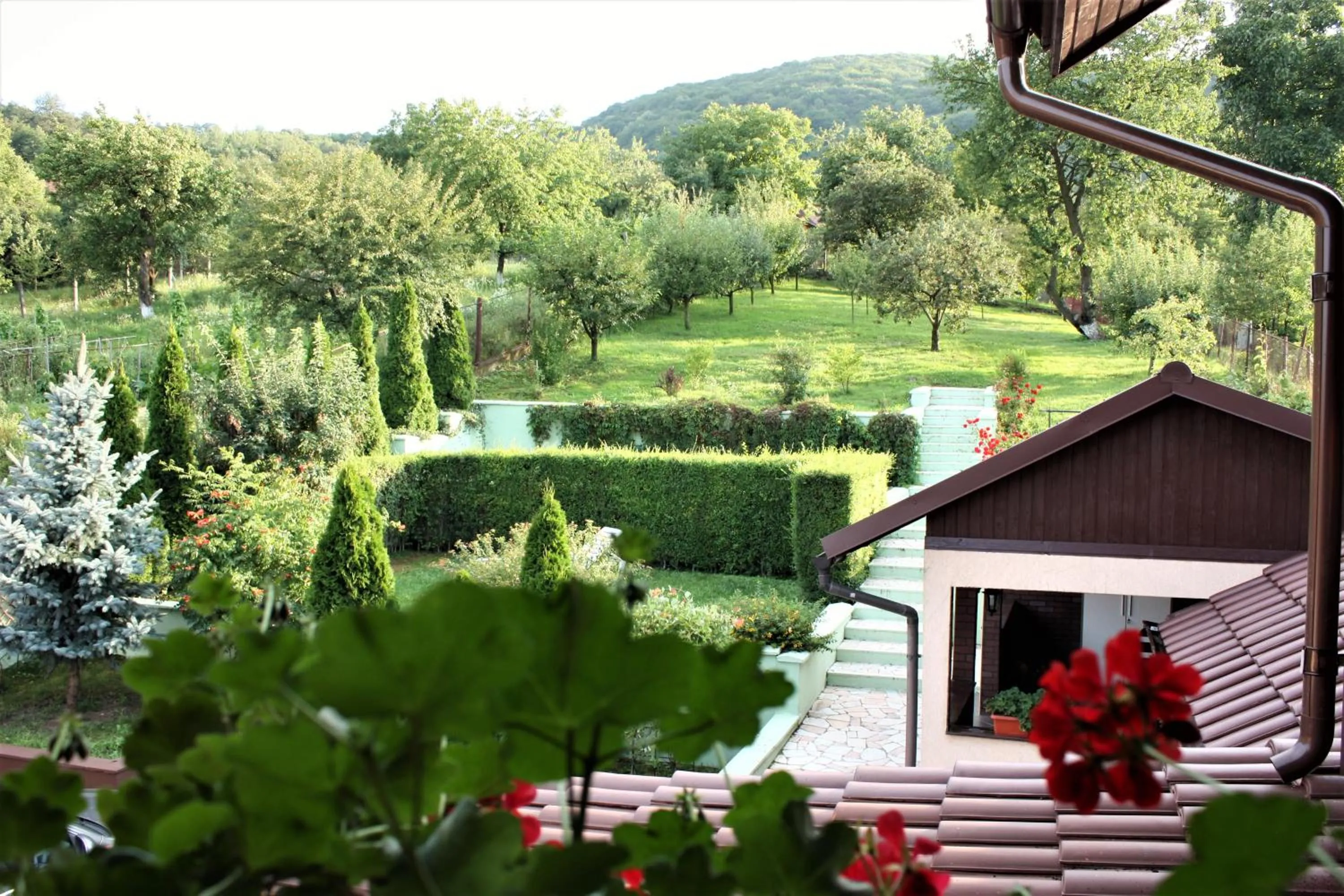 Garden view in Silva House