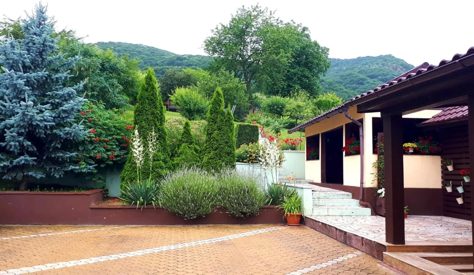 Garden in Silva House